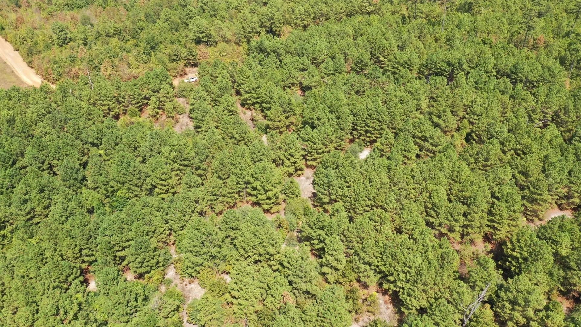69.36 acres in Marion County - photo 3