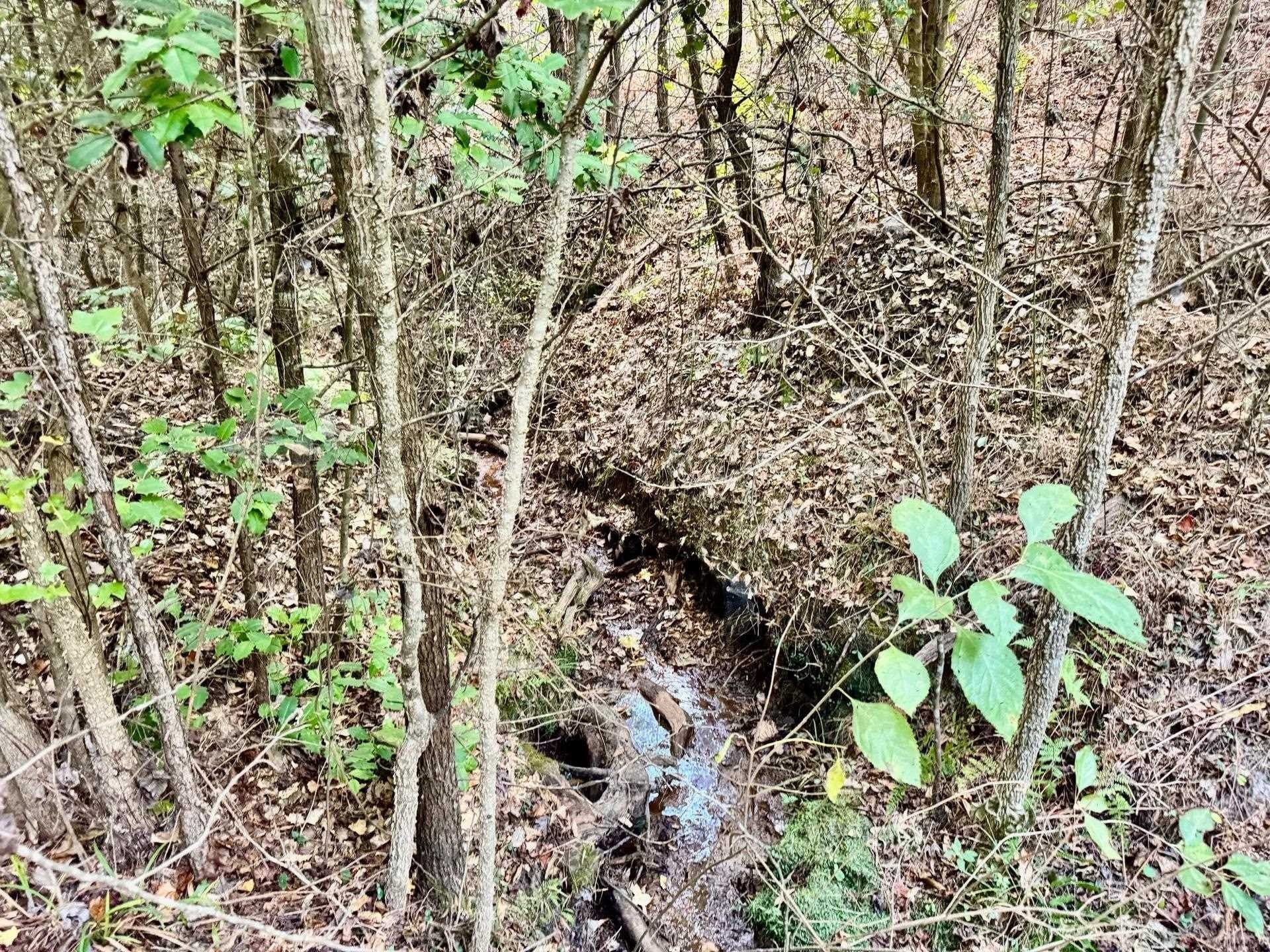 69.36 acres in Marion County - photo 14