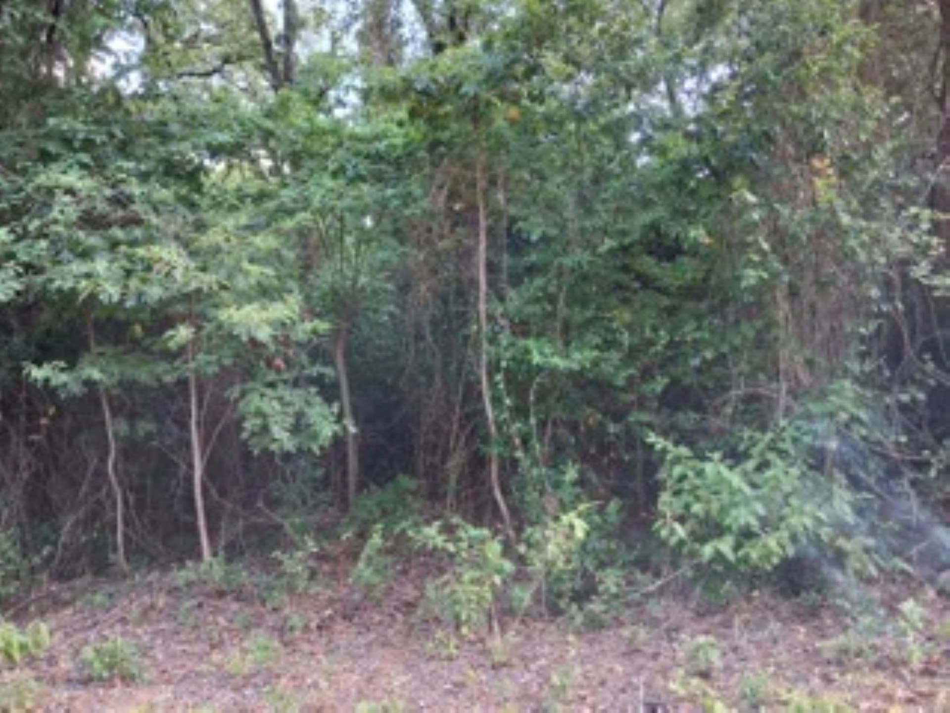 1.06 acres in Van Zandt County featured view