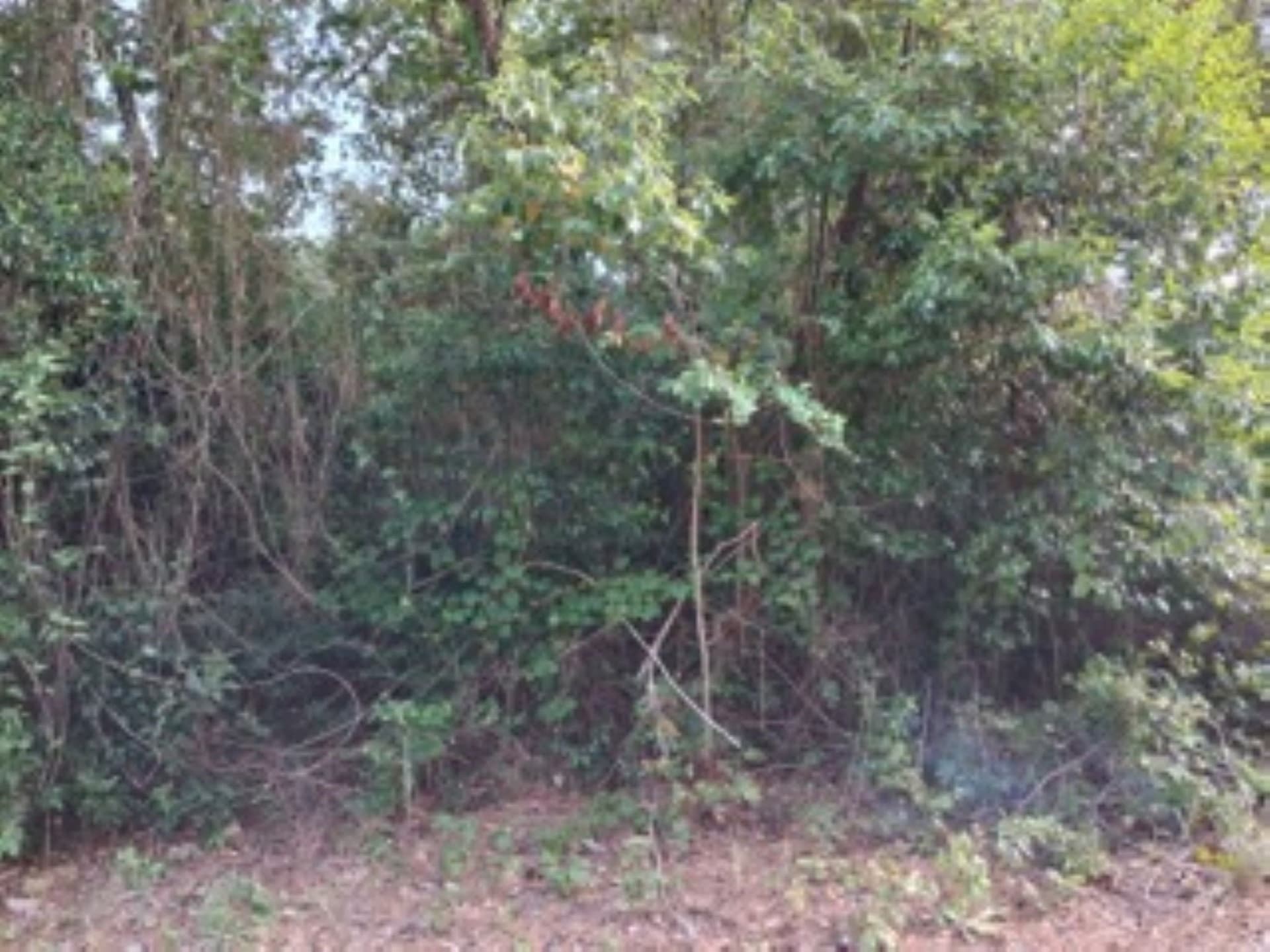 1.06 acres in Van Zandt County - photo 6