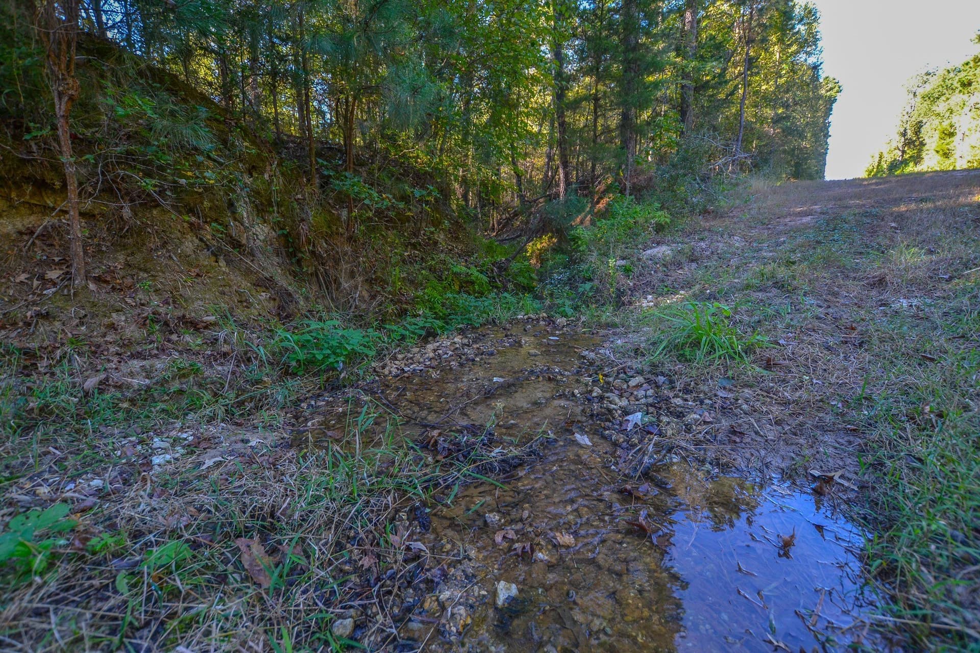 15.5 acres in Henderson County - photo 4