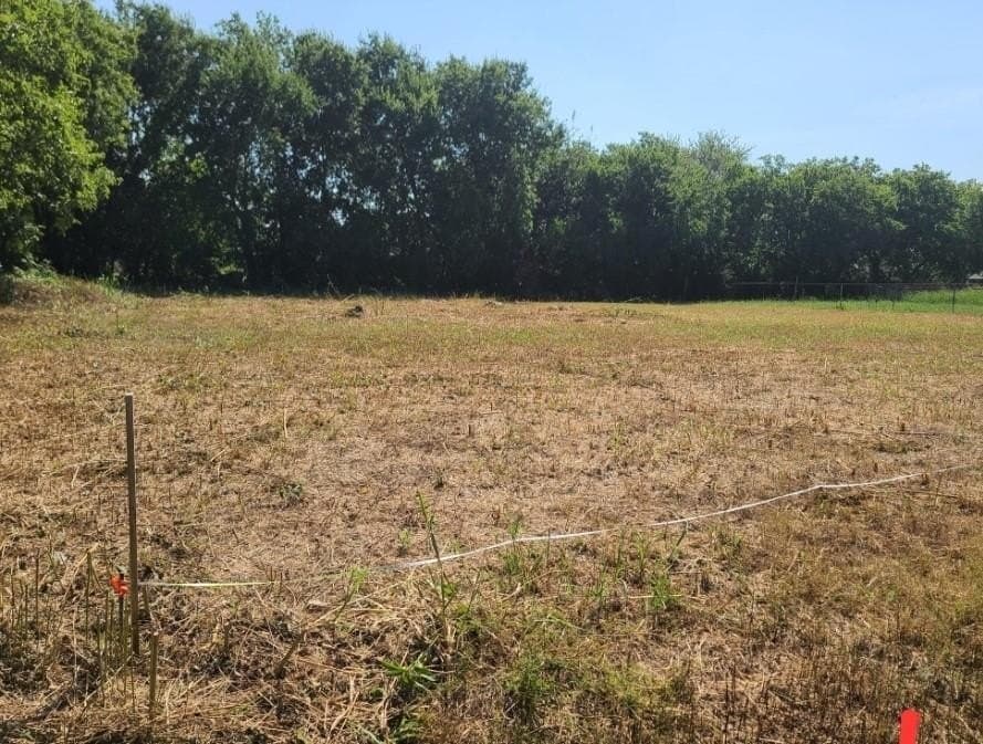 0.07 acres in Dallas County gallery image 4