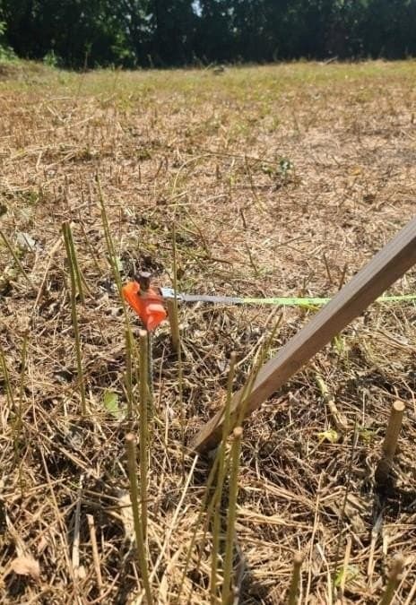 0.07 acres in Dallas County gallery image 2