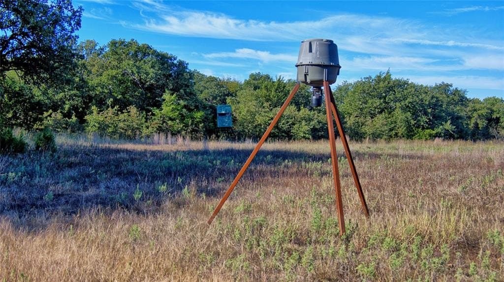 41 acres in Clay County featured view