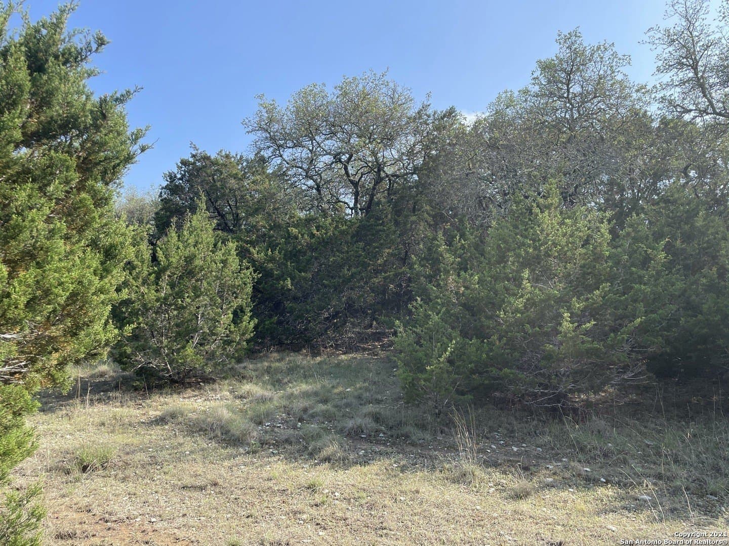 0.96 acres in Comal County gallery image 3