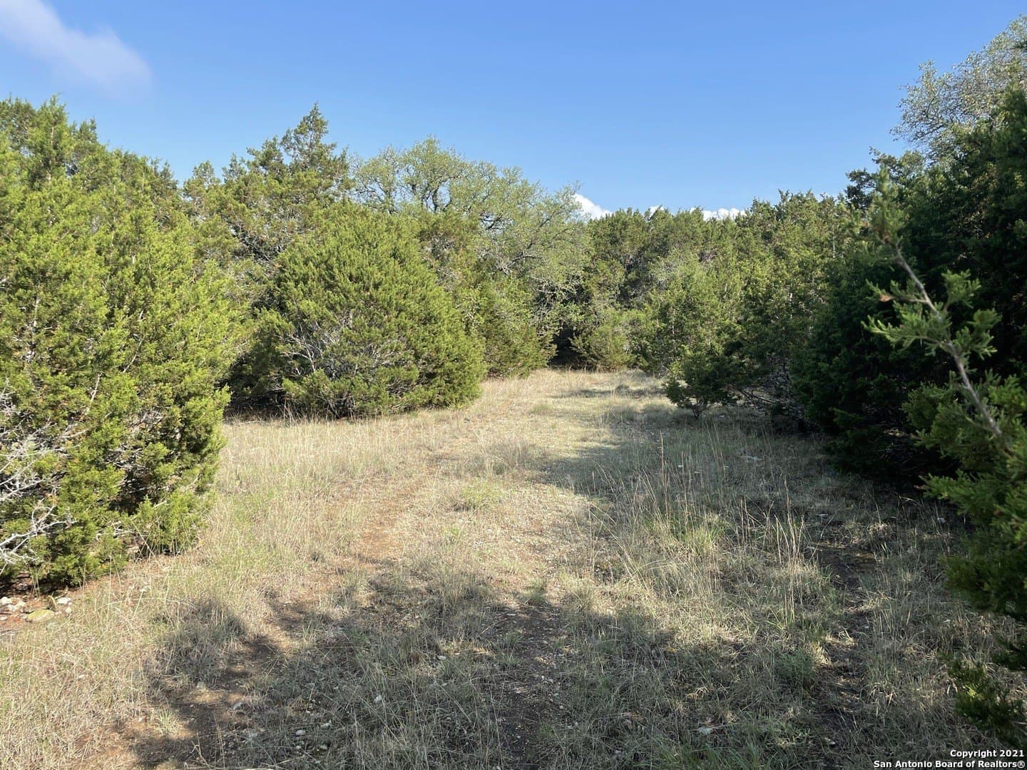 0.96 acres in Comal County gallery image 4