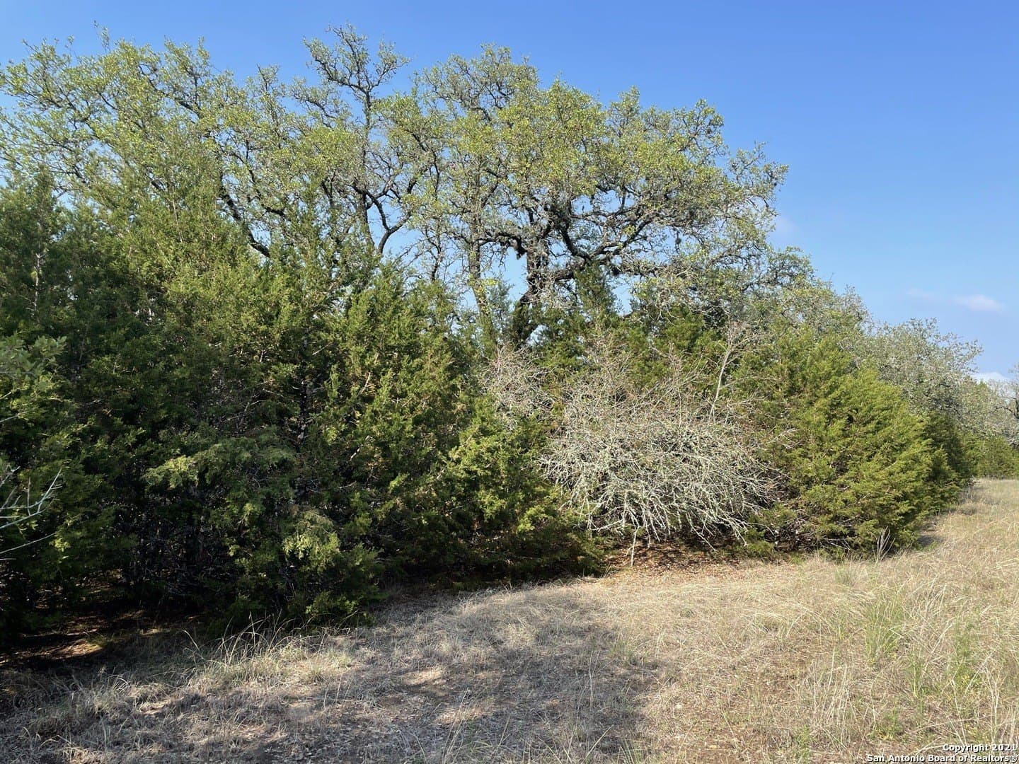 0.96 acres in Comal County featured view