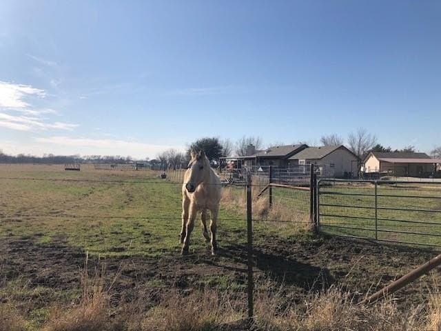 3.24 acres in Denton County gallery image 2