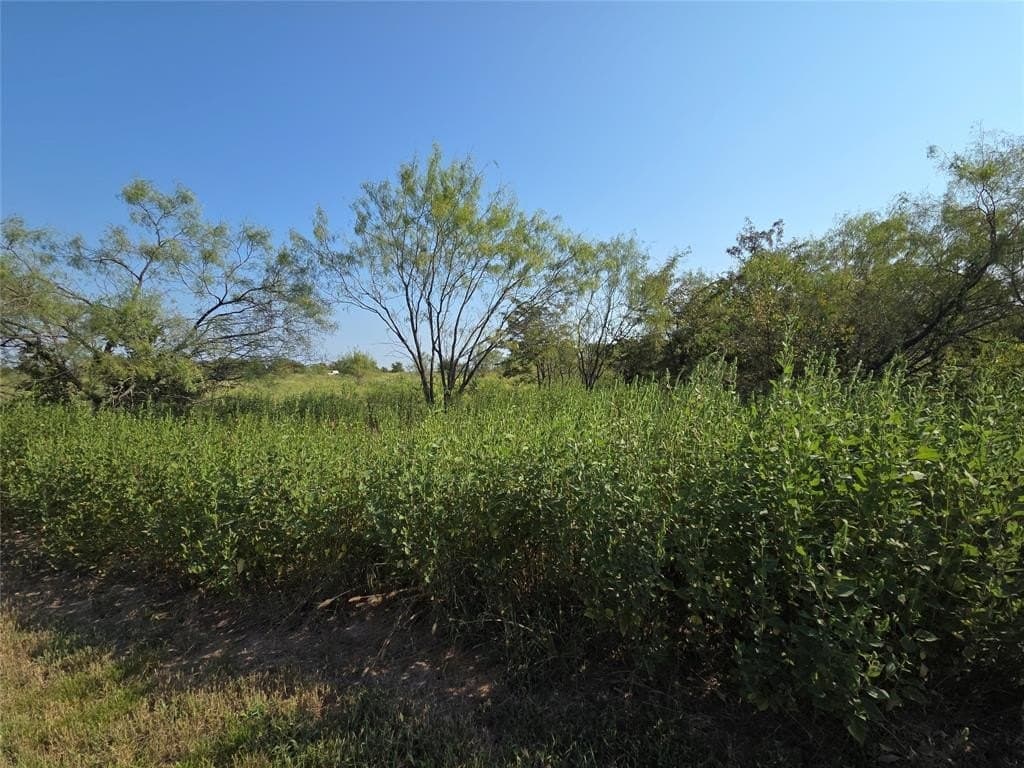 1.22 acres in Navarro County featured view