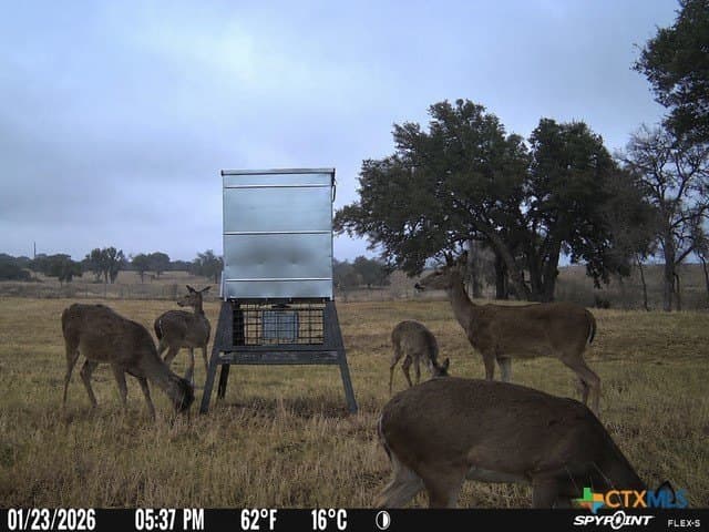 56.27 acres in Gillespie County - photo 39