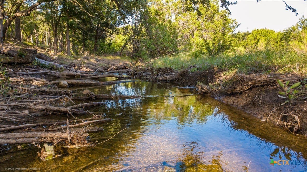 56.27 acres in Gillespie County - photo 8