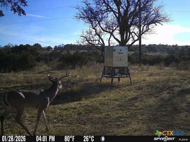 56.27 acres in Gillespie County - photo 40