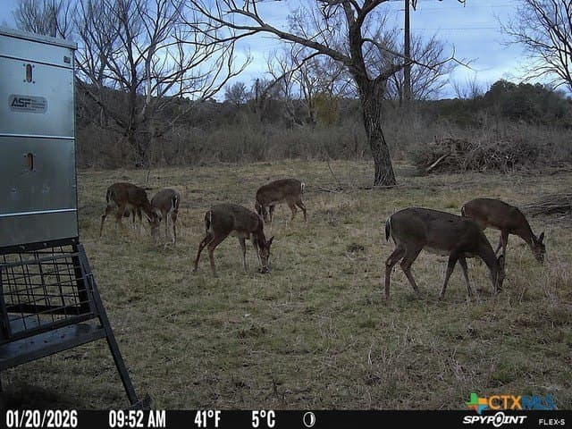 56.27 acres in Gillespie County - photo 38