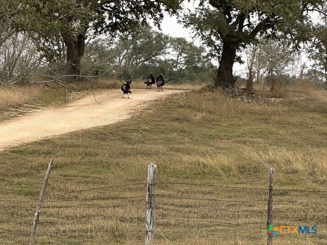 56.27 acres in Gillespie County - photo 41
