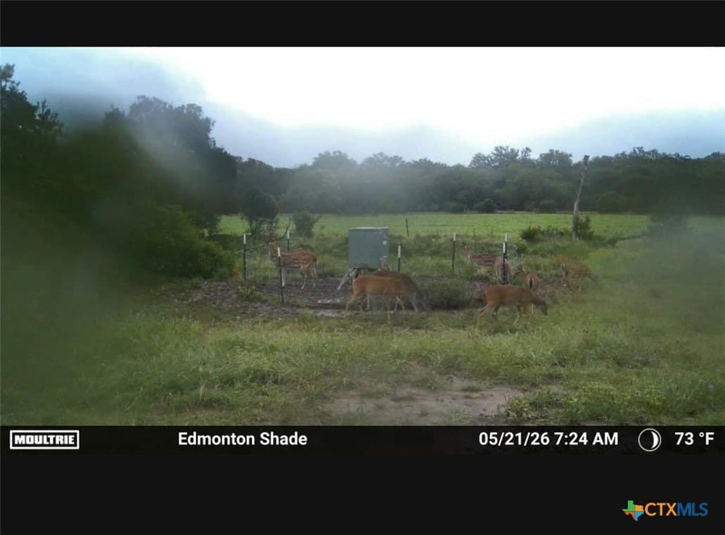56.27 acres in Gillespie County gallery image 2