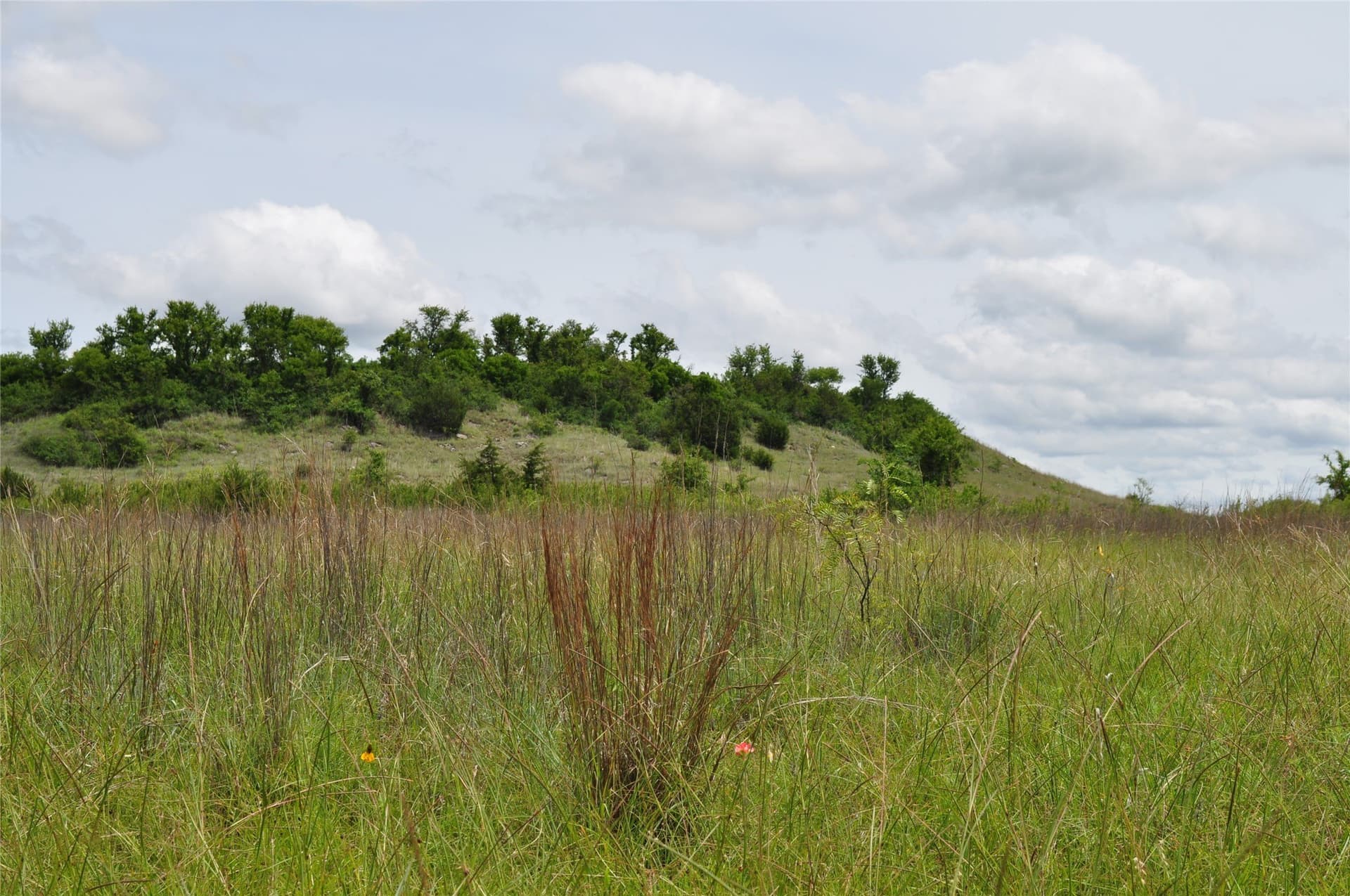 146.4 acres in Jack County - photo 30
