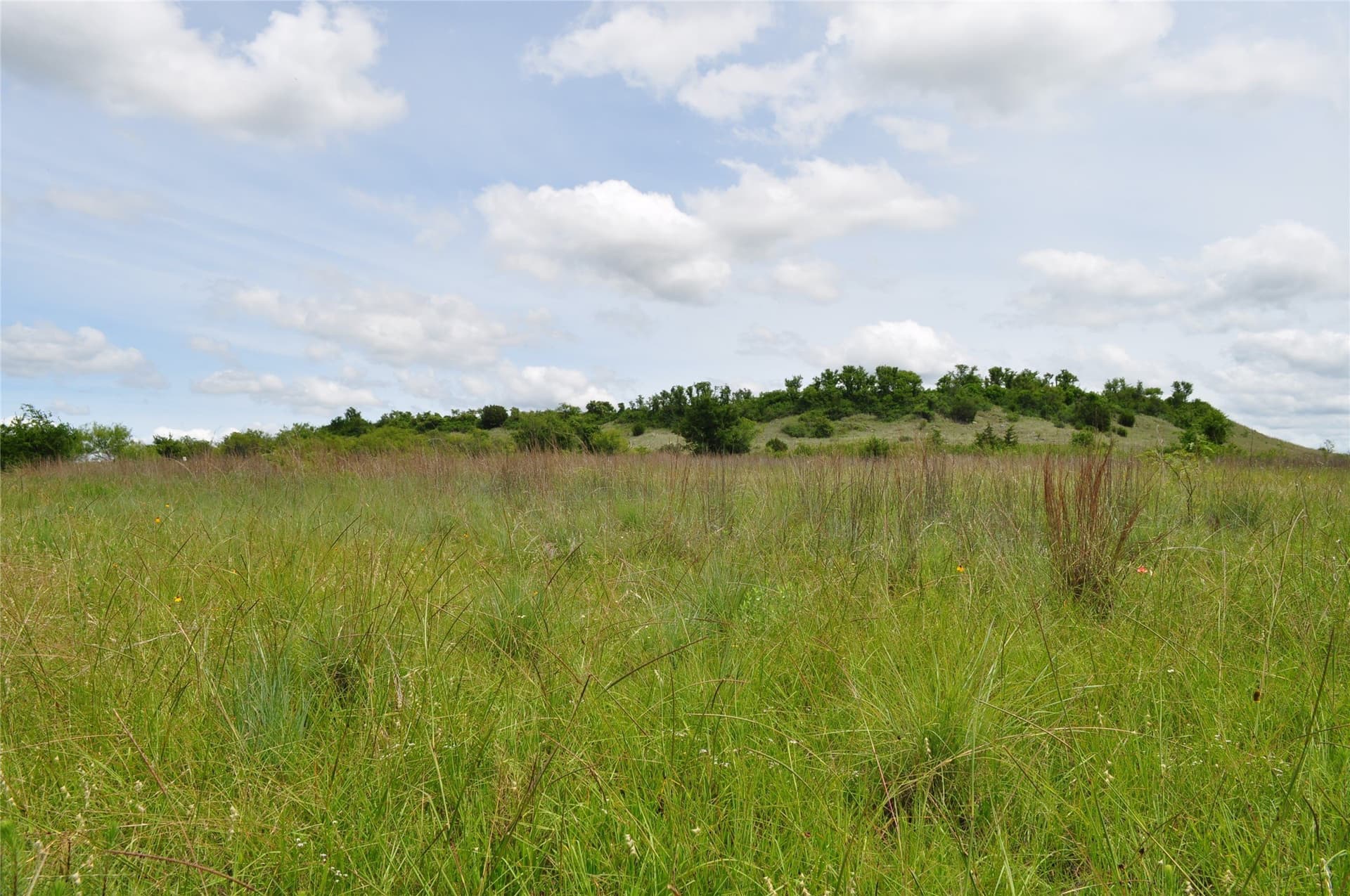 146.4 acres in Jack County - photo 24