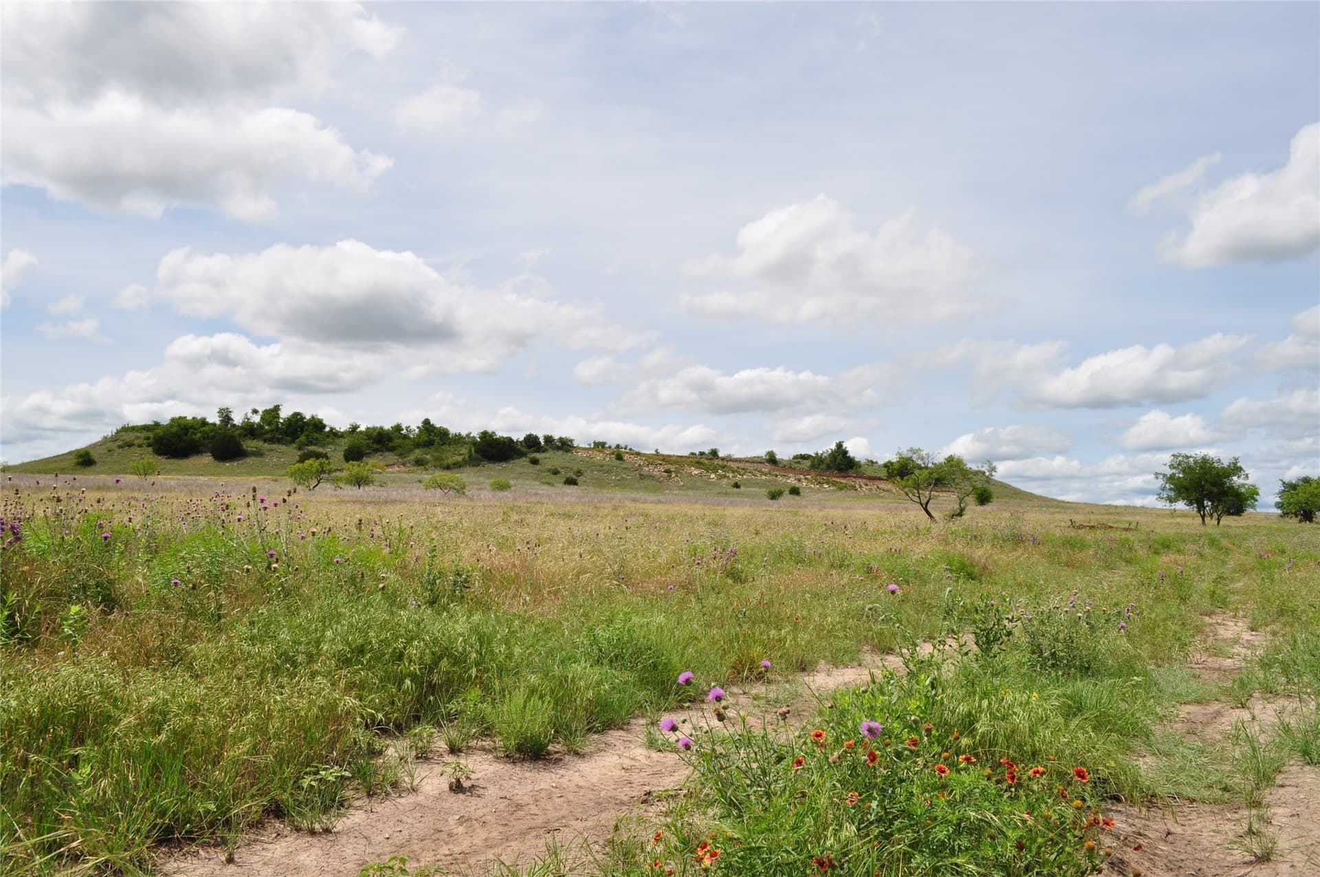 146.4 acres in Jack County - photo 39