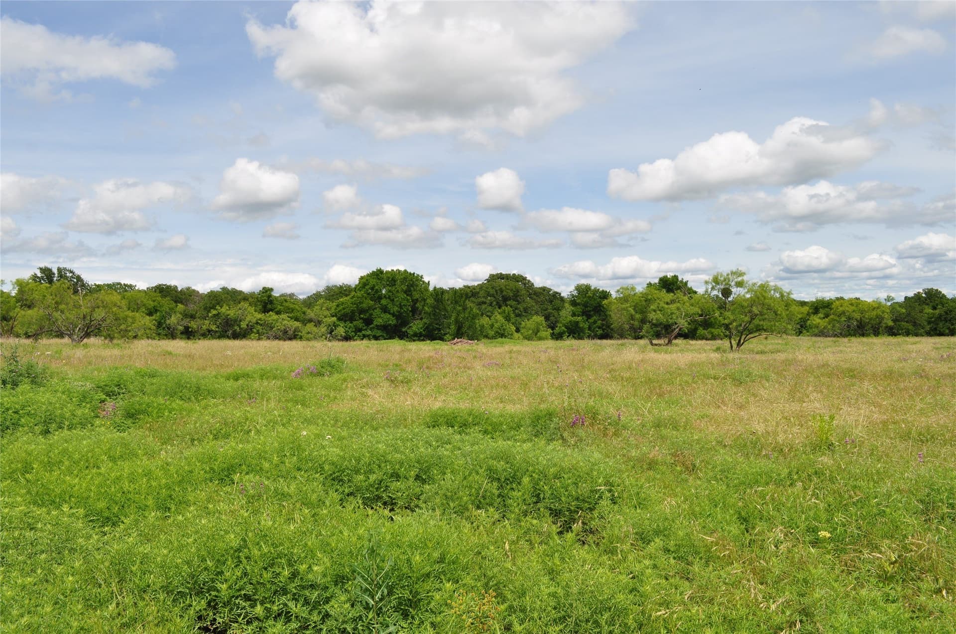 146.4 acres in Jack County - photo 38