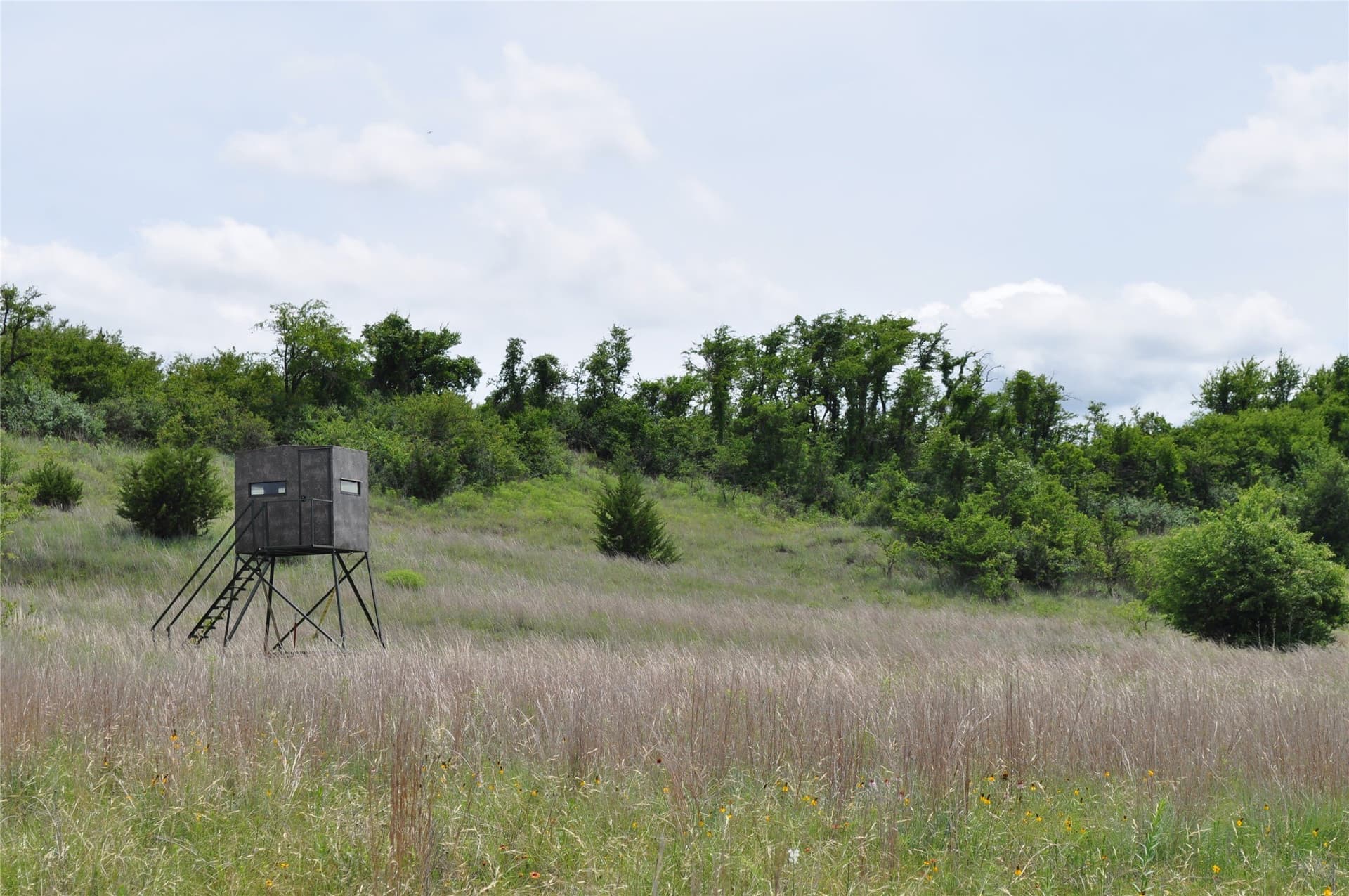 146.4 acres in Jack County - photo 26