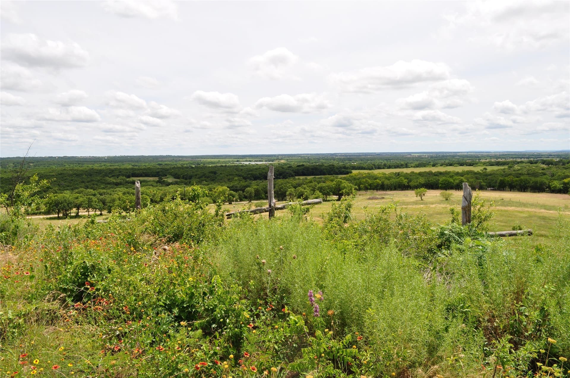146.4 acres in Jack County - photo 22