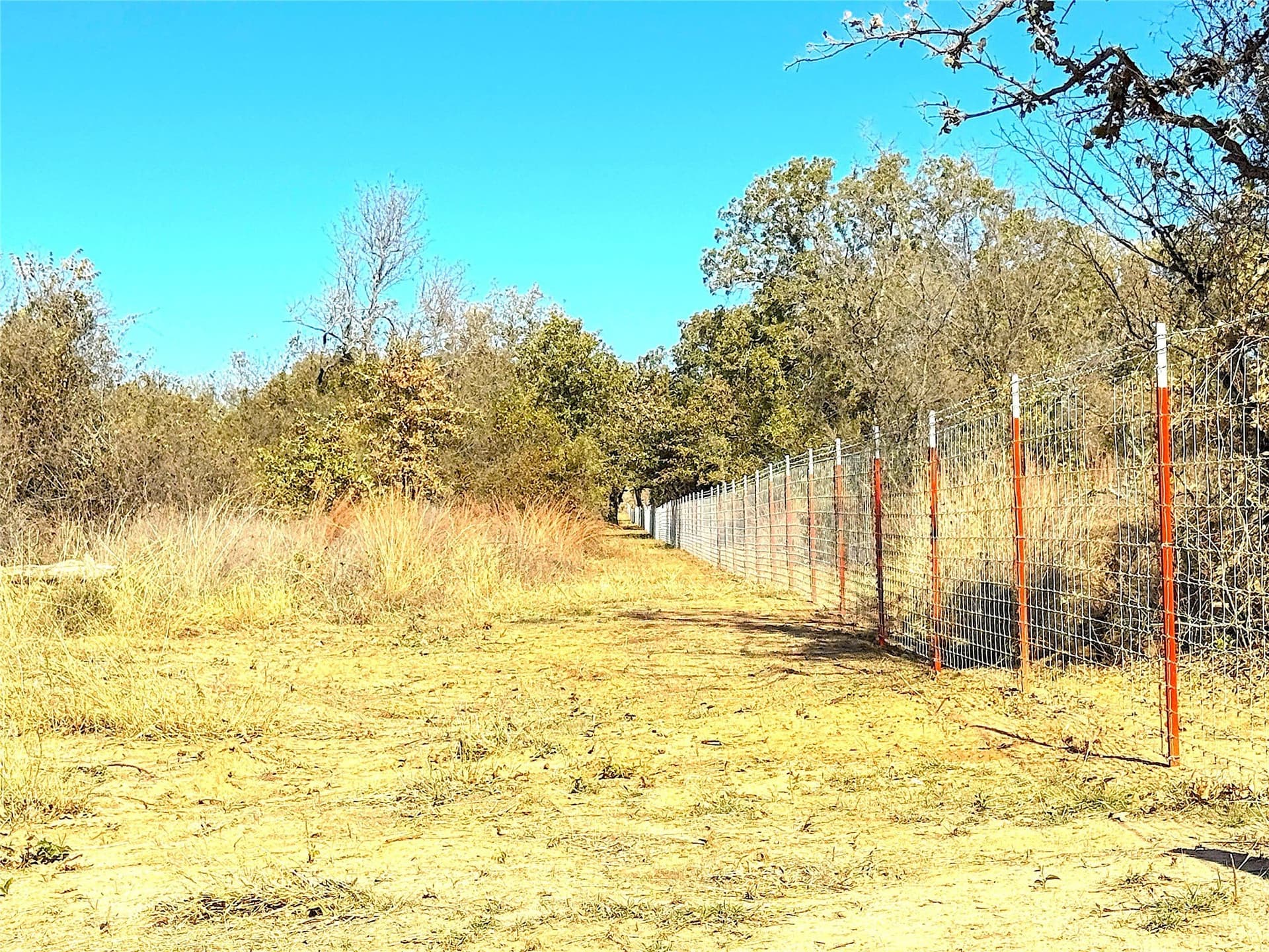 146.4 acres in Jack County - photo 18