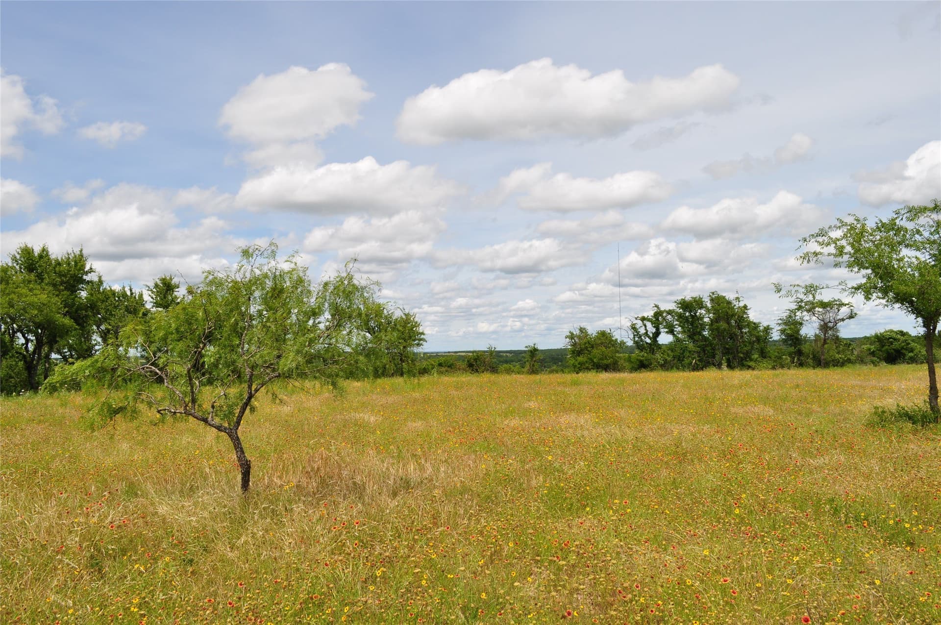 146.4 acres in Jack County - photo 27