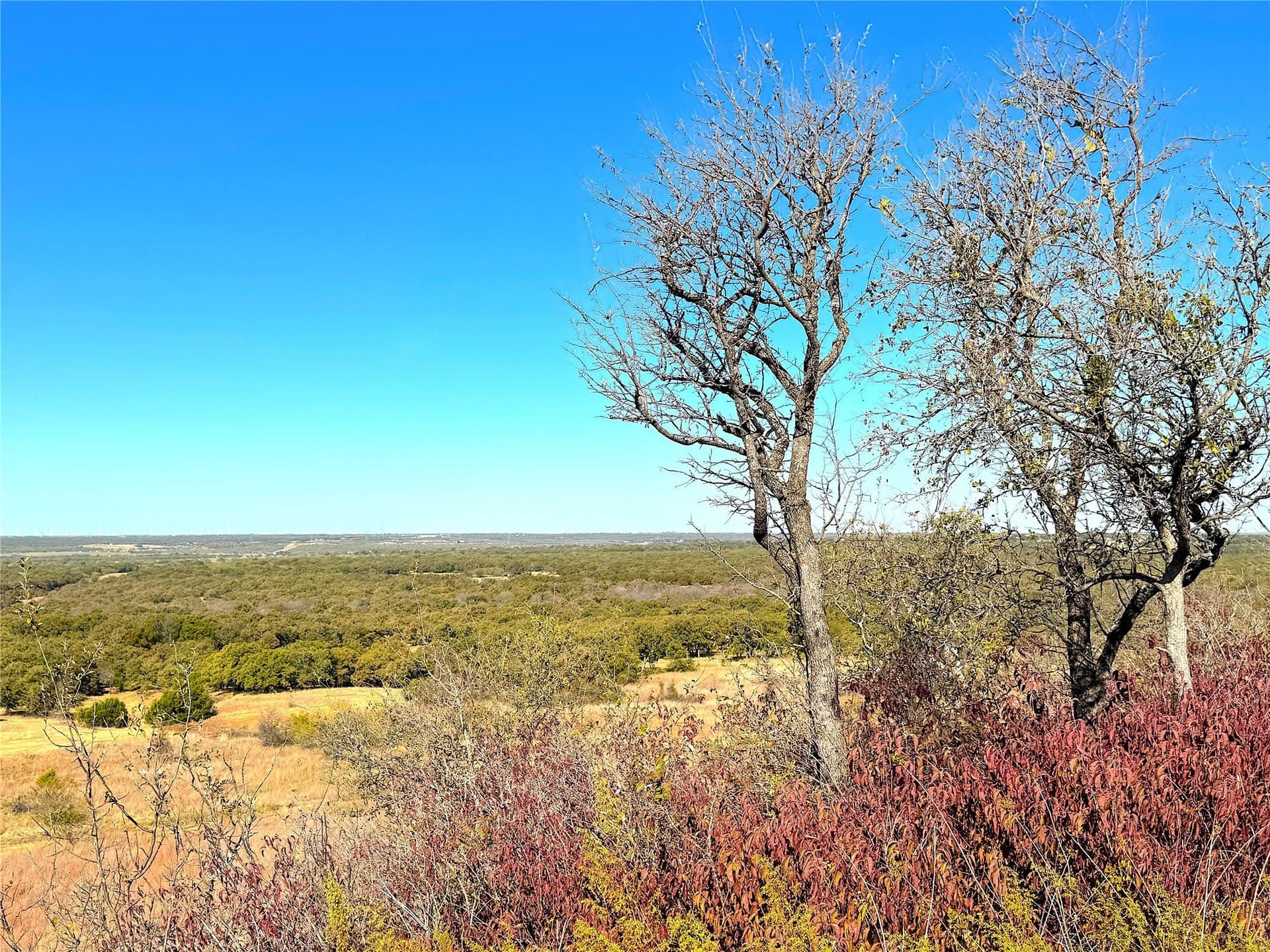146.4 acres in Jack County - photo 7