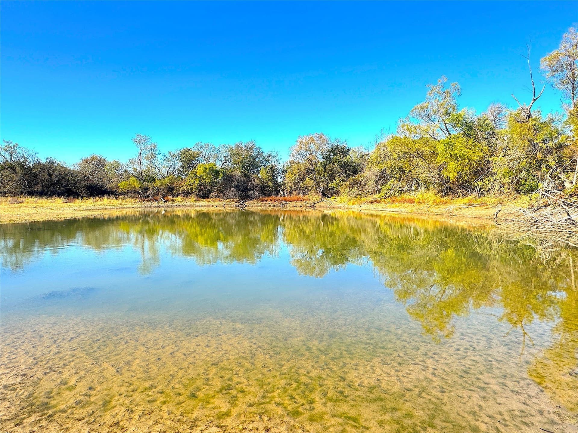 146.4 acres in Jack County - photo 10
