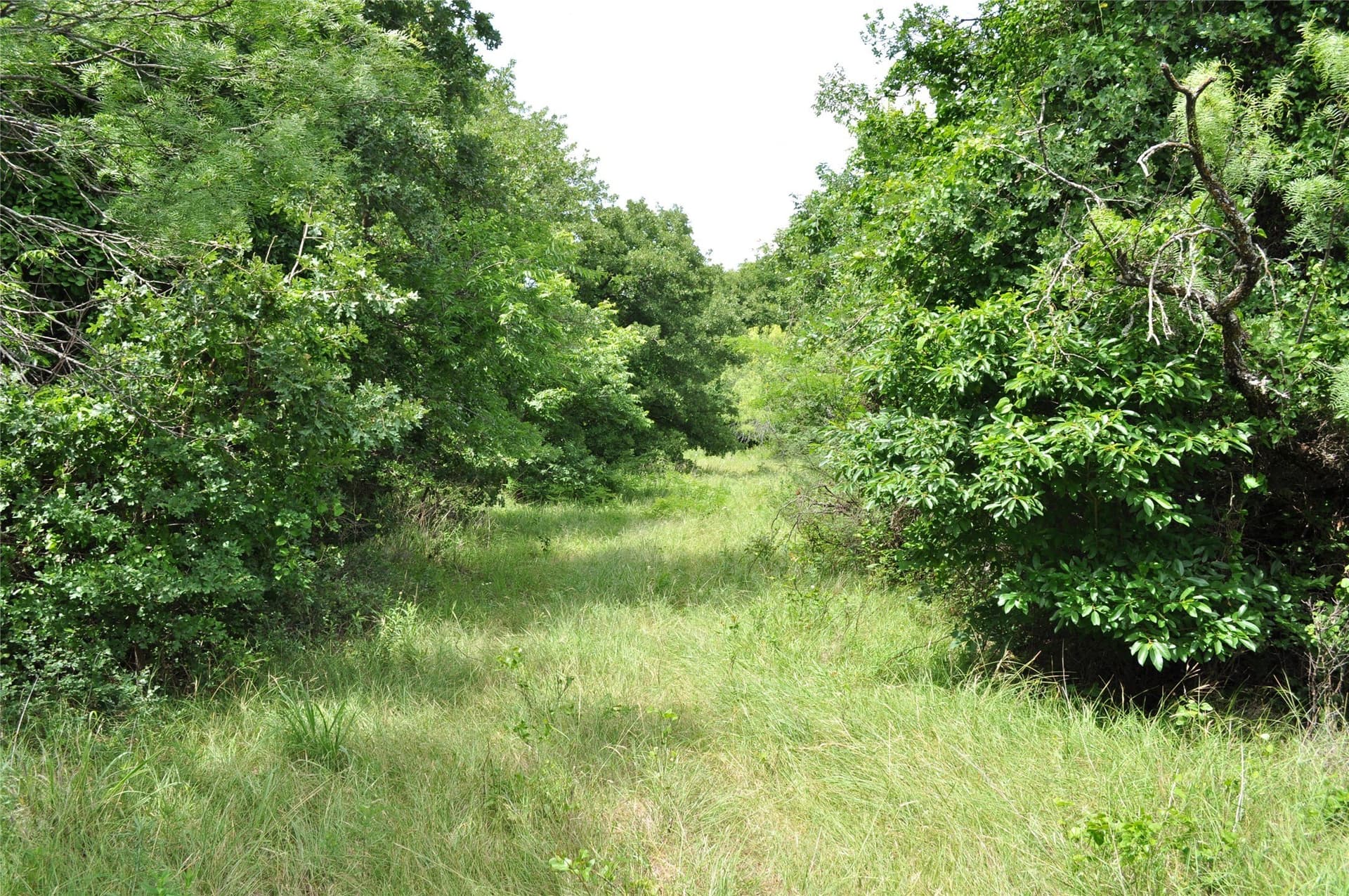 146.4 acres in Jack County - photo 20