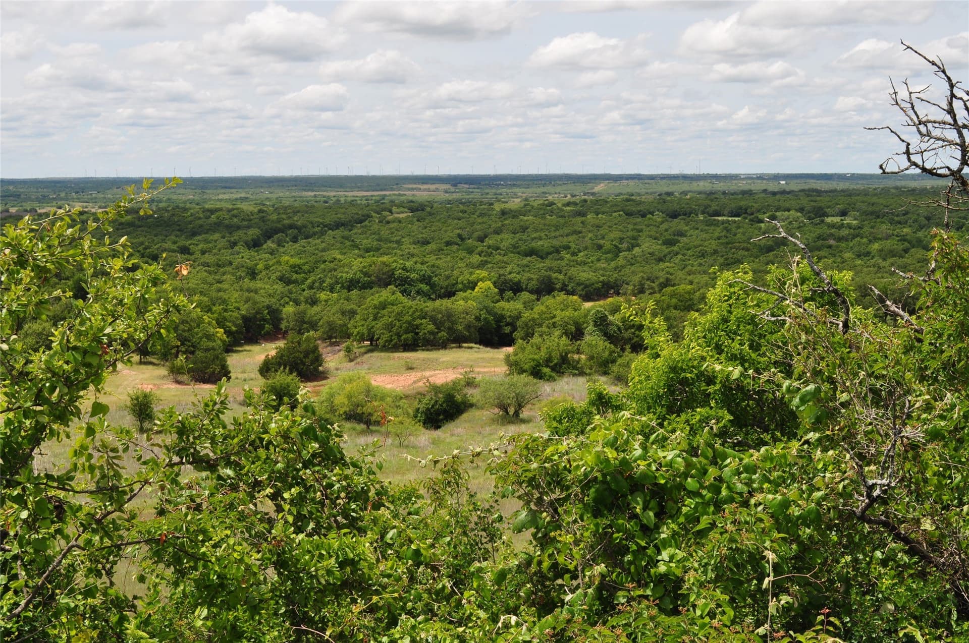 146.4 acres in Jack County - photo 23