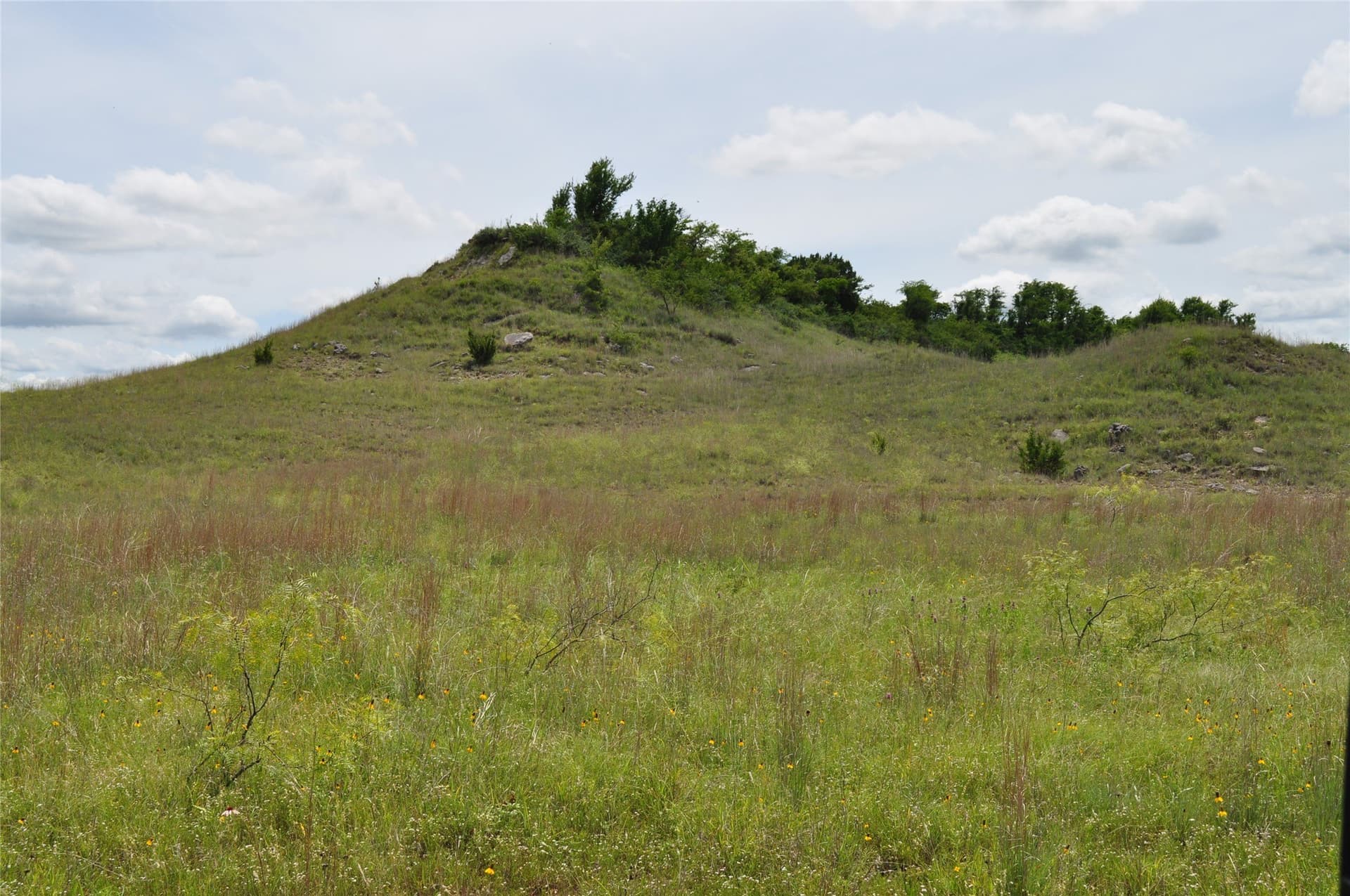 146.4 acres in Jack County - photo 9