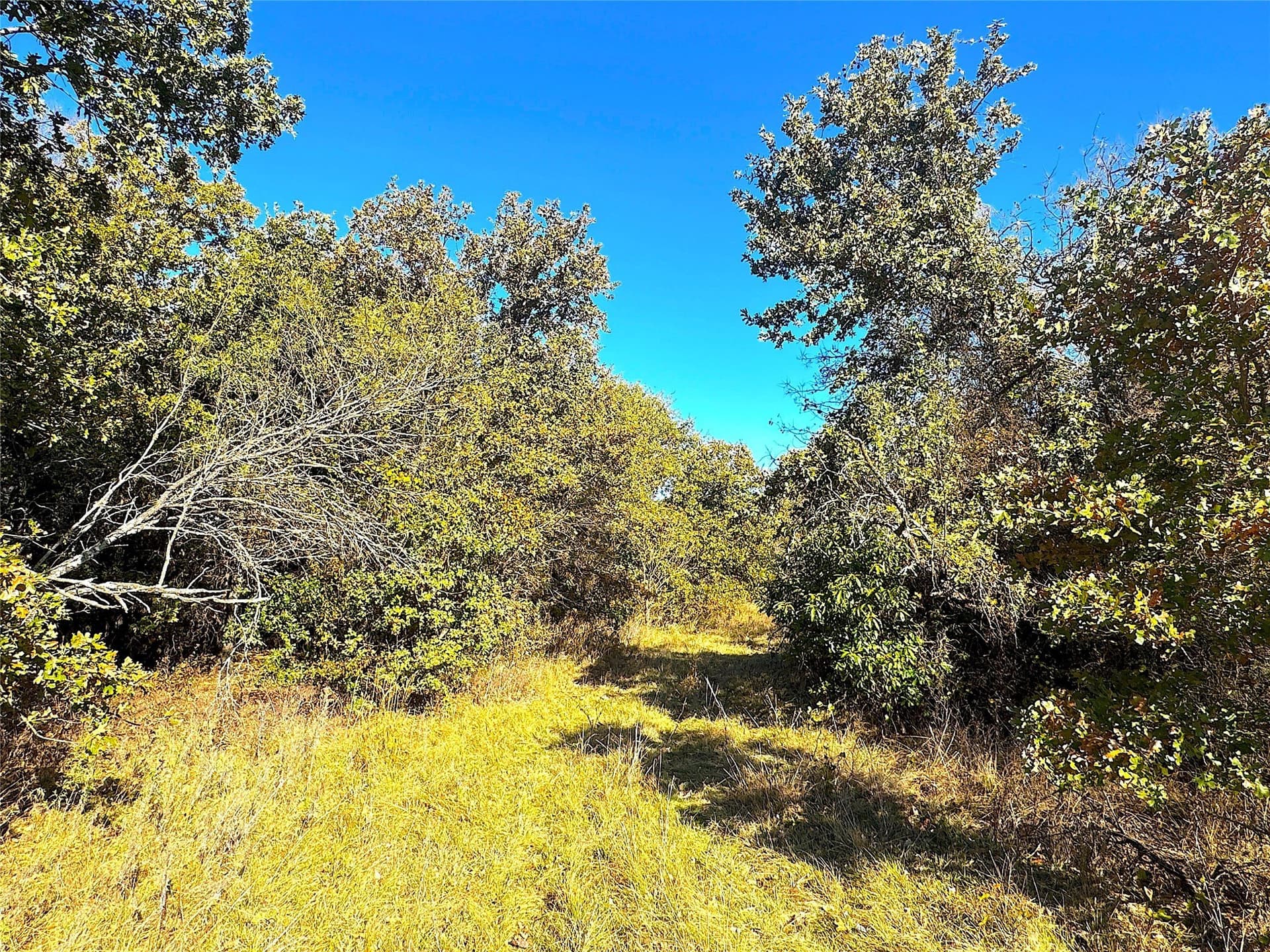 146.4 acres in Jack County - photo 12