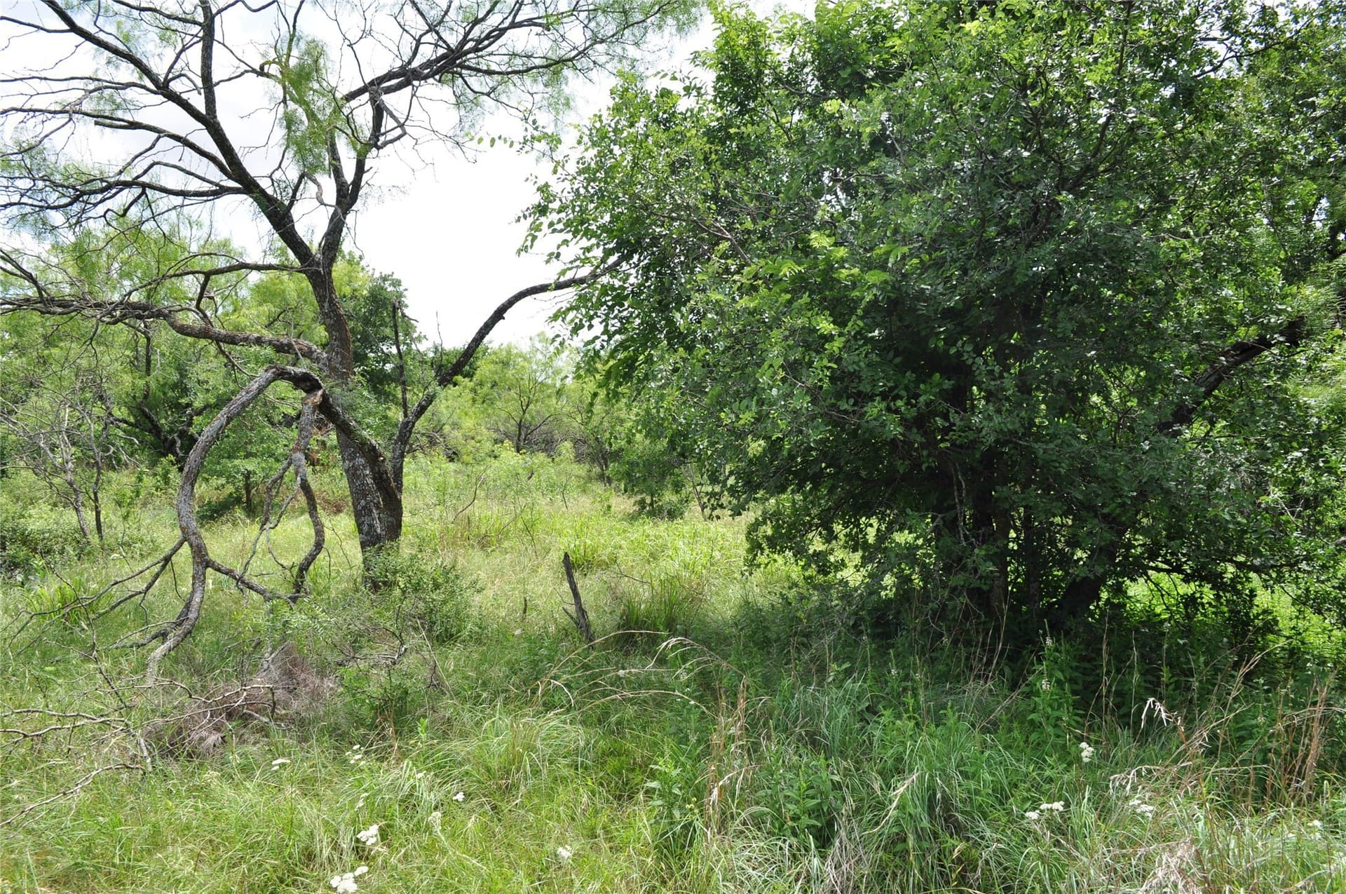 146.4 acres in Jack County - photo 32