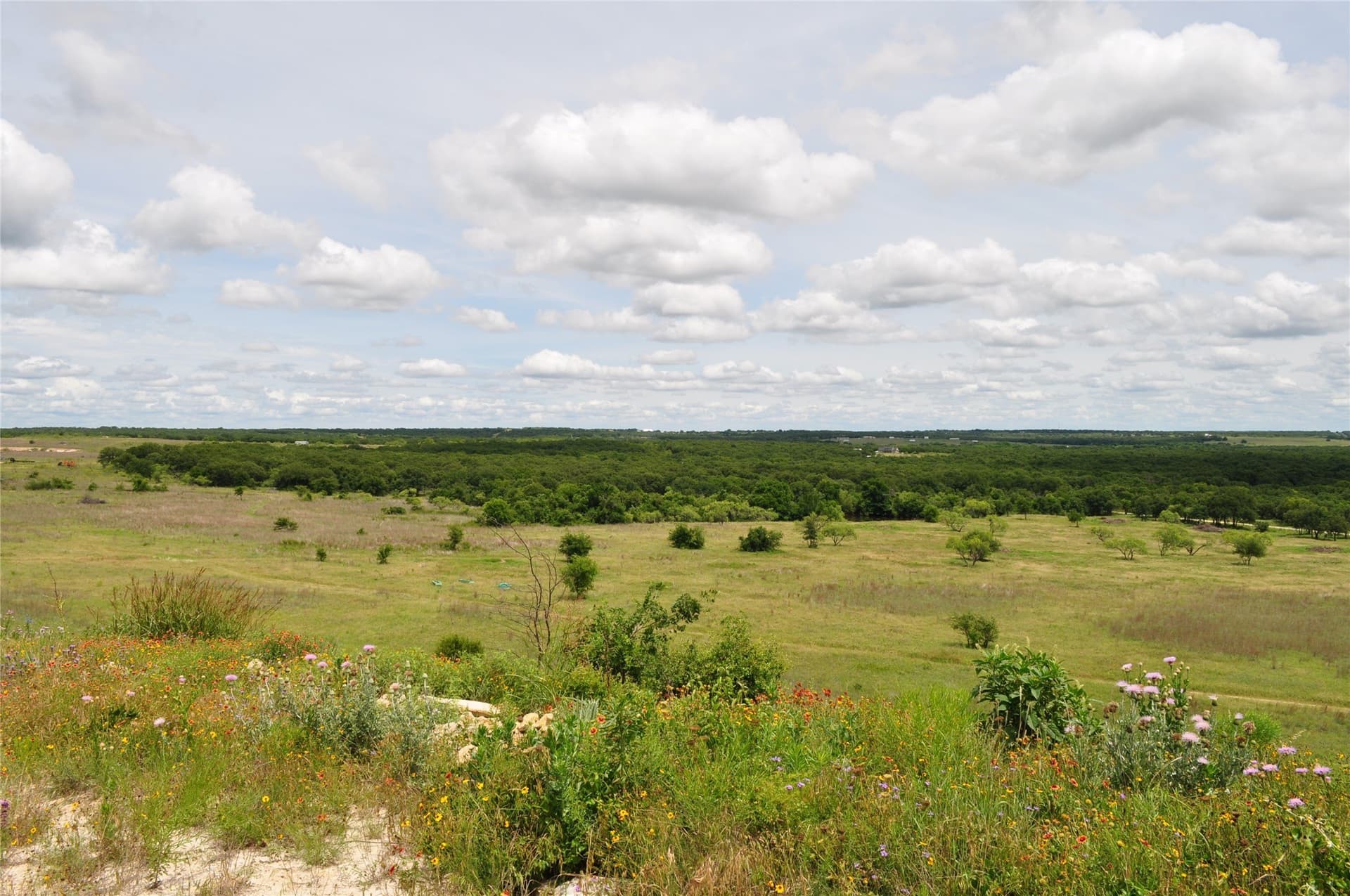 146.4 acres in Jack County - photo 28