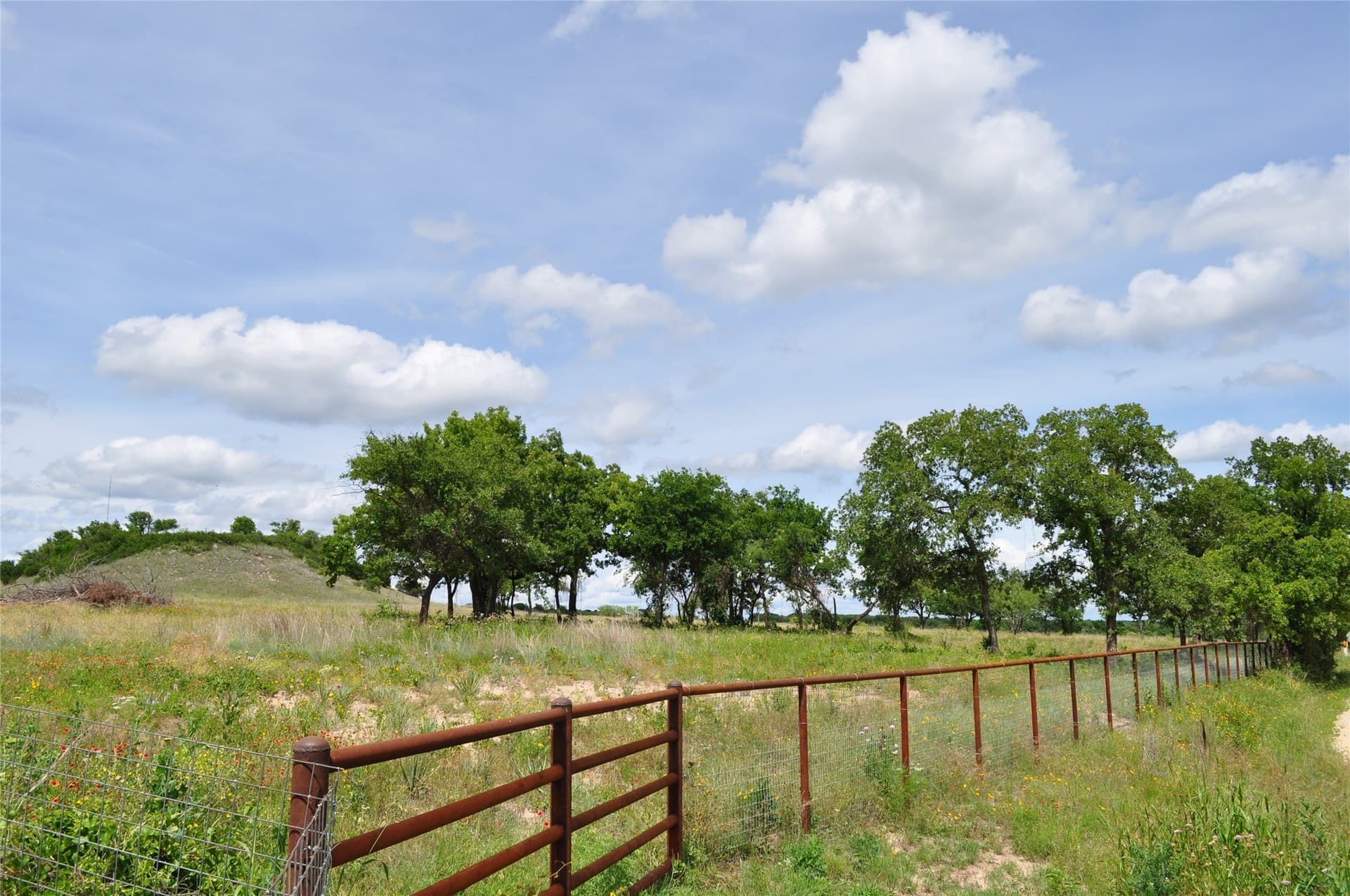 146.4 acres in Jack County gallery image 2