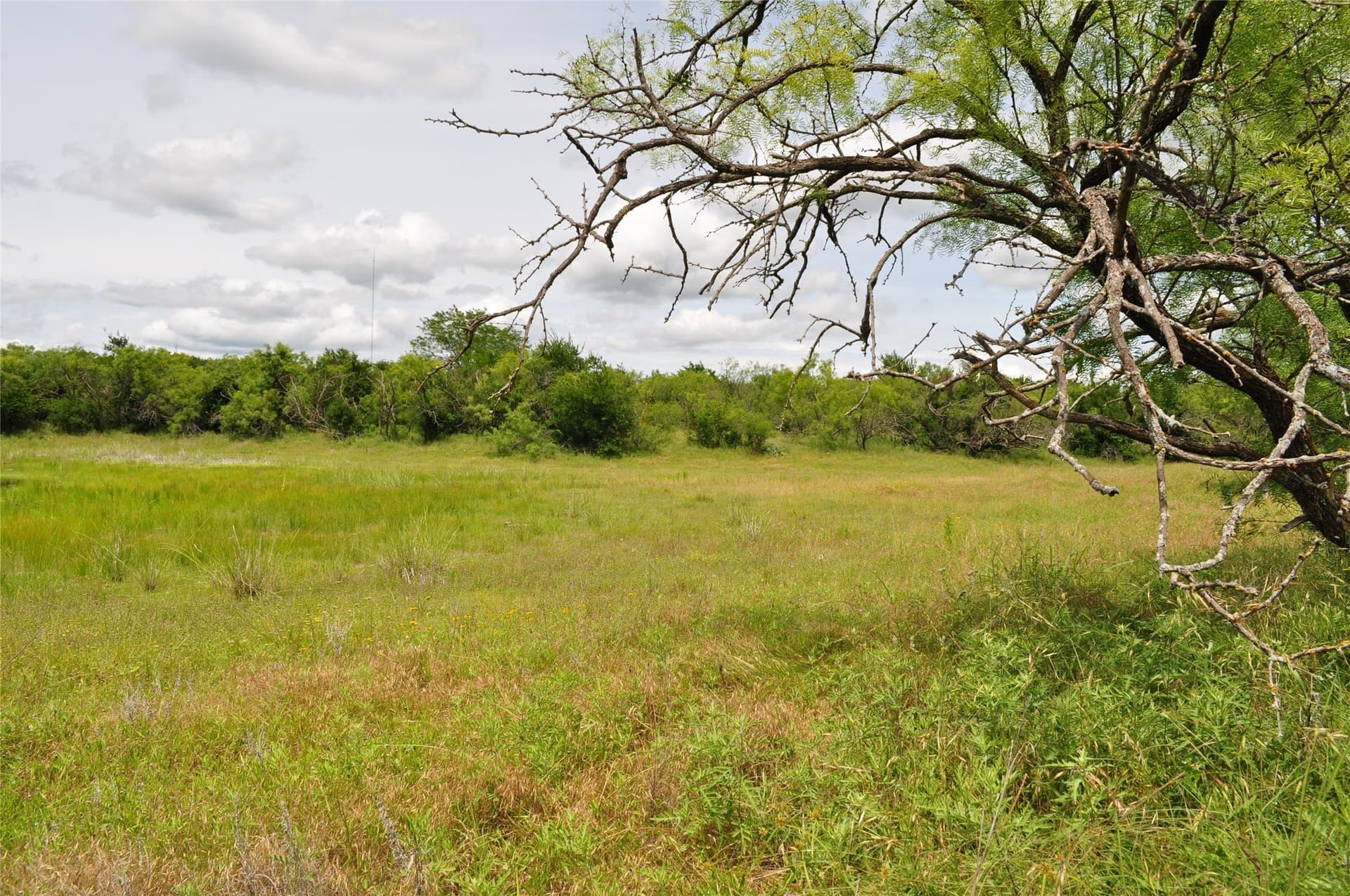 146.4 acres in Jack County - photo 37