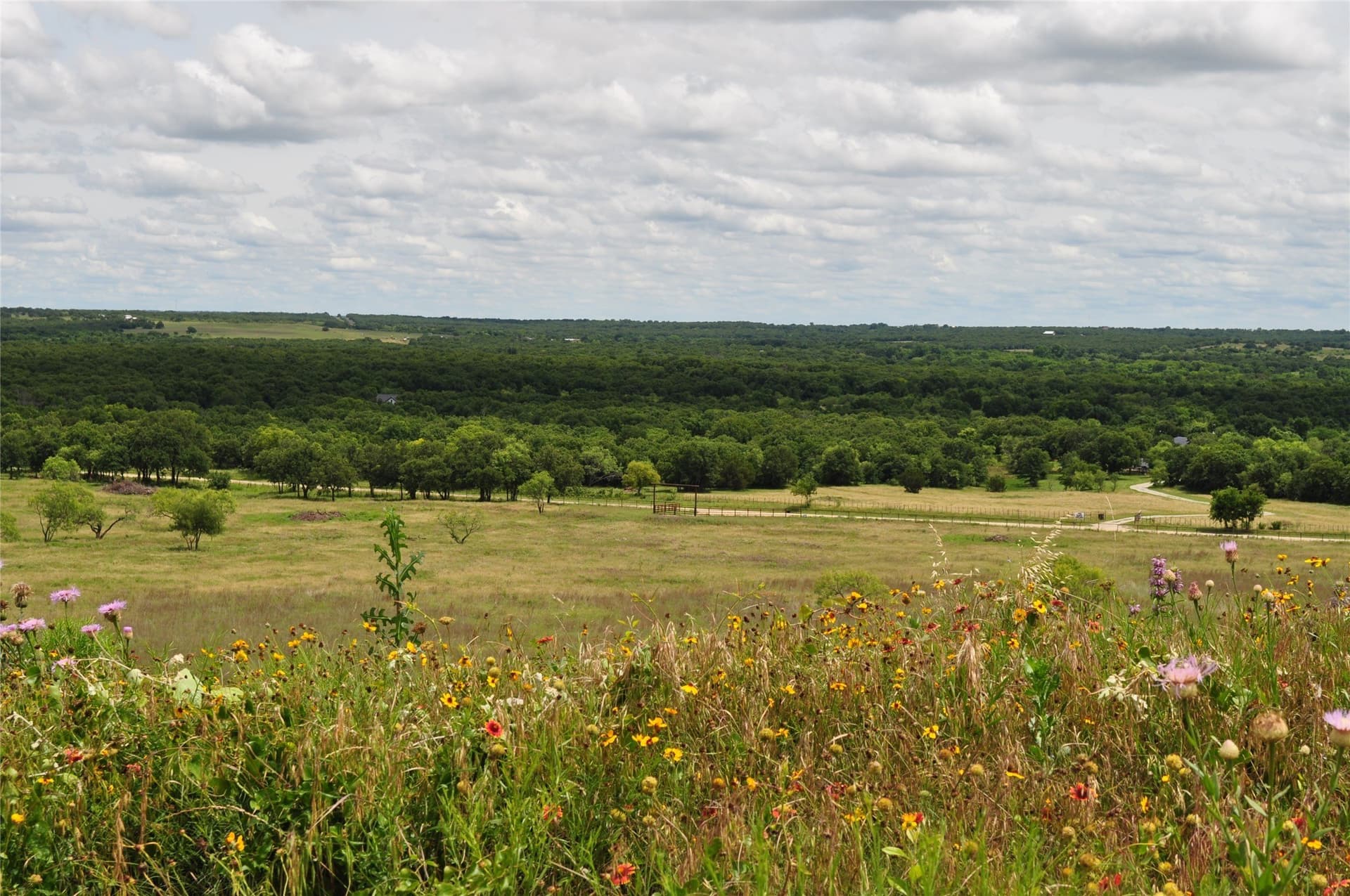 146.4 acres in Jack County gallery image 3
