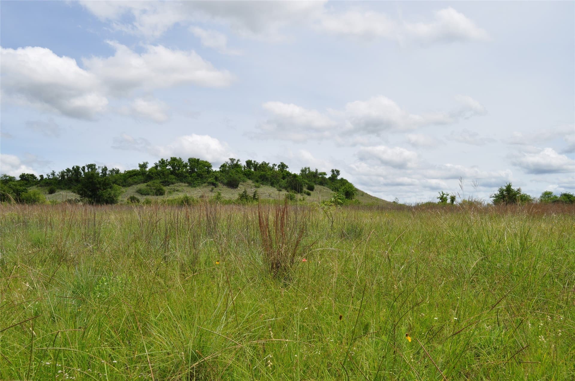 146.4 acres in Jack County - photo 29