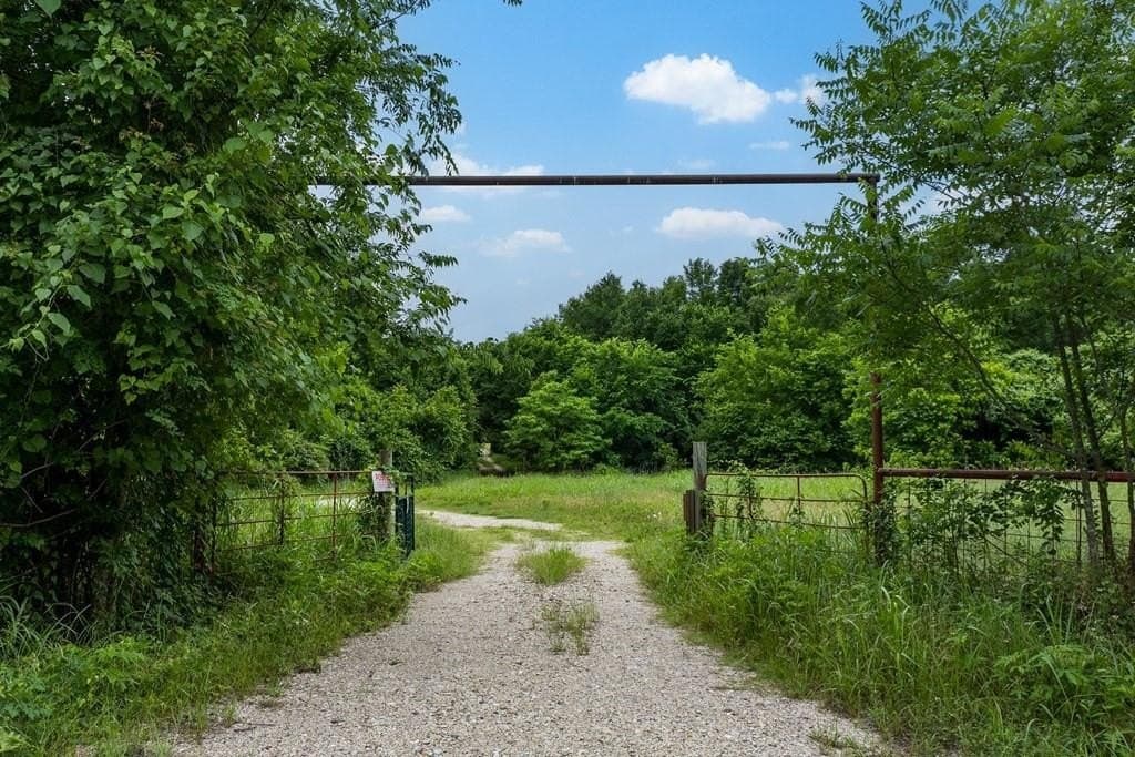 19.78 acres in Kaufman County gallery image 3