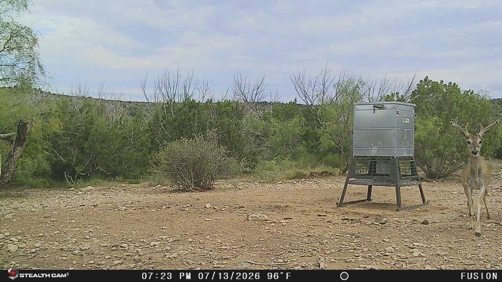 200 acres in Crockett County featured view