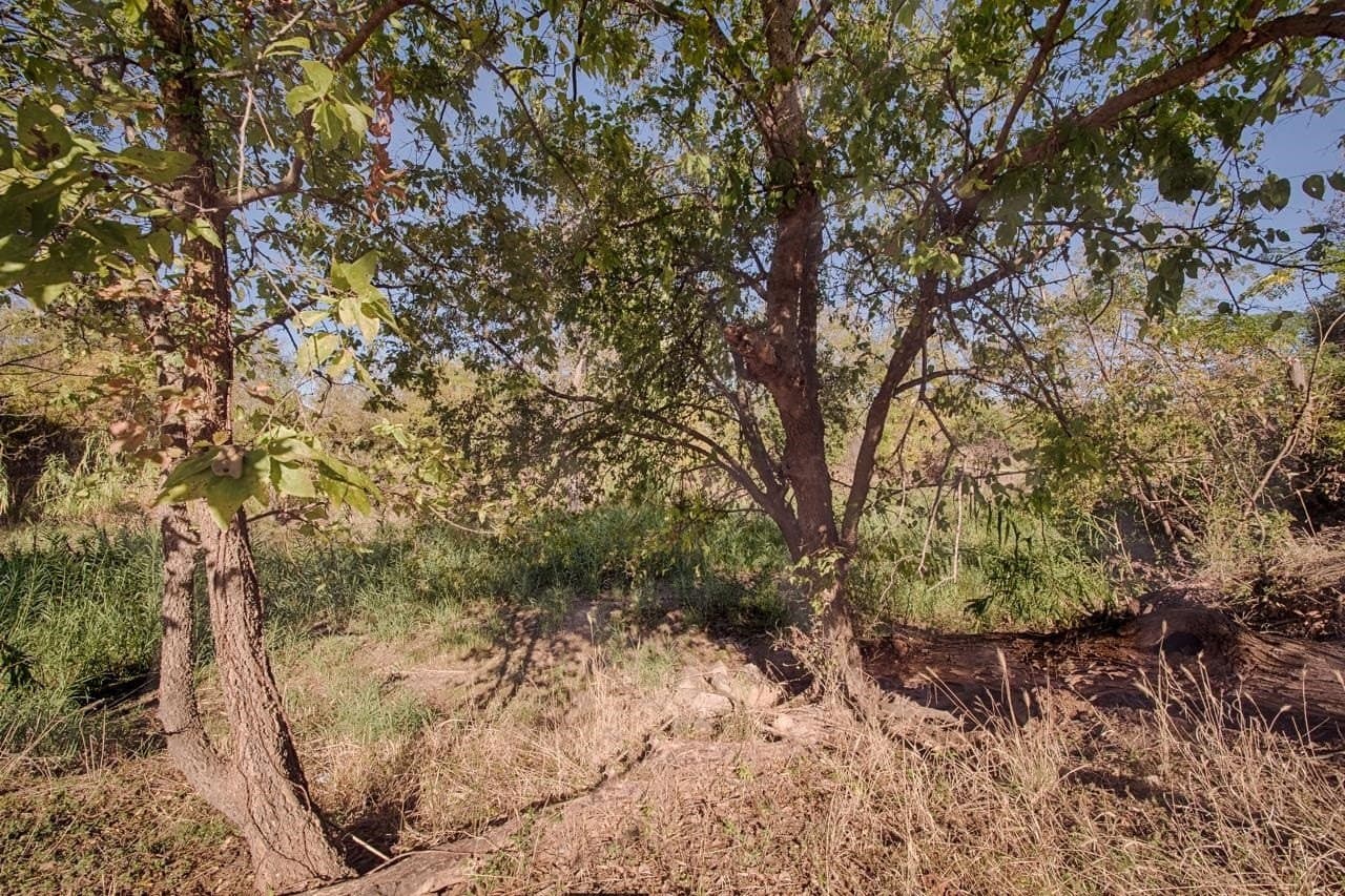 0.16 acres in Burnet County gallery image 4