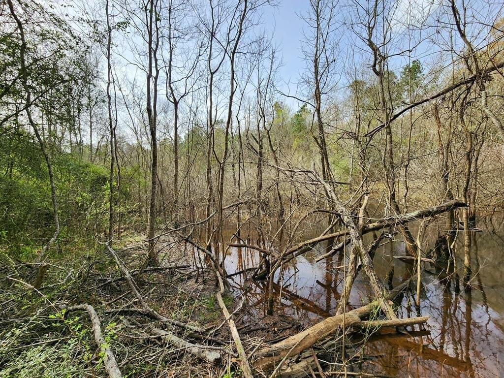 2.08 acres in Texas County - photo 5