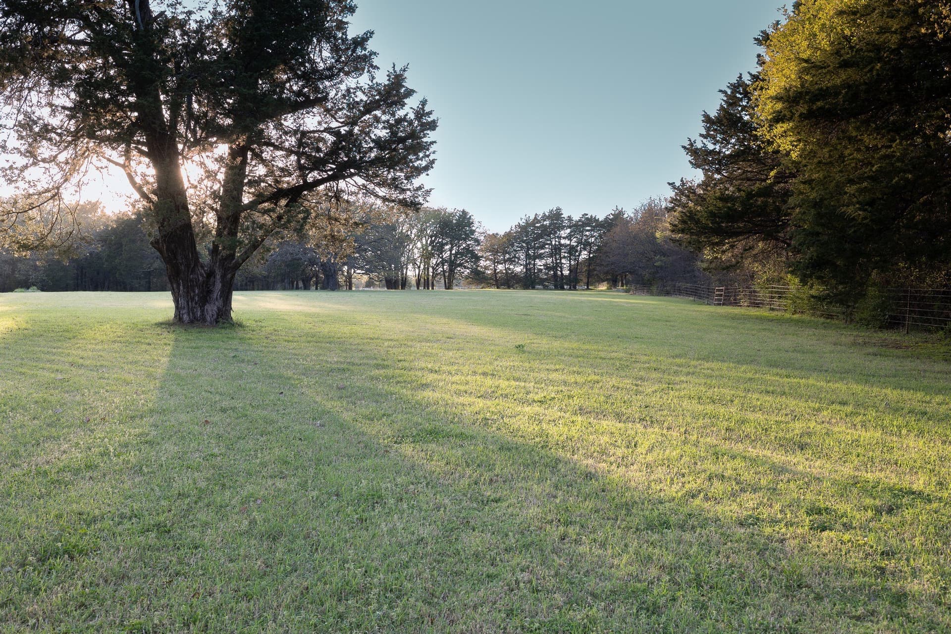 15.75 acres in Grayson County - photo 33