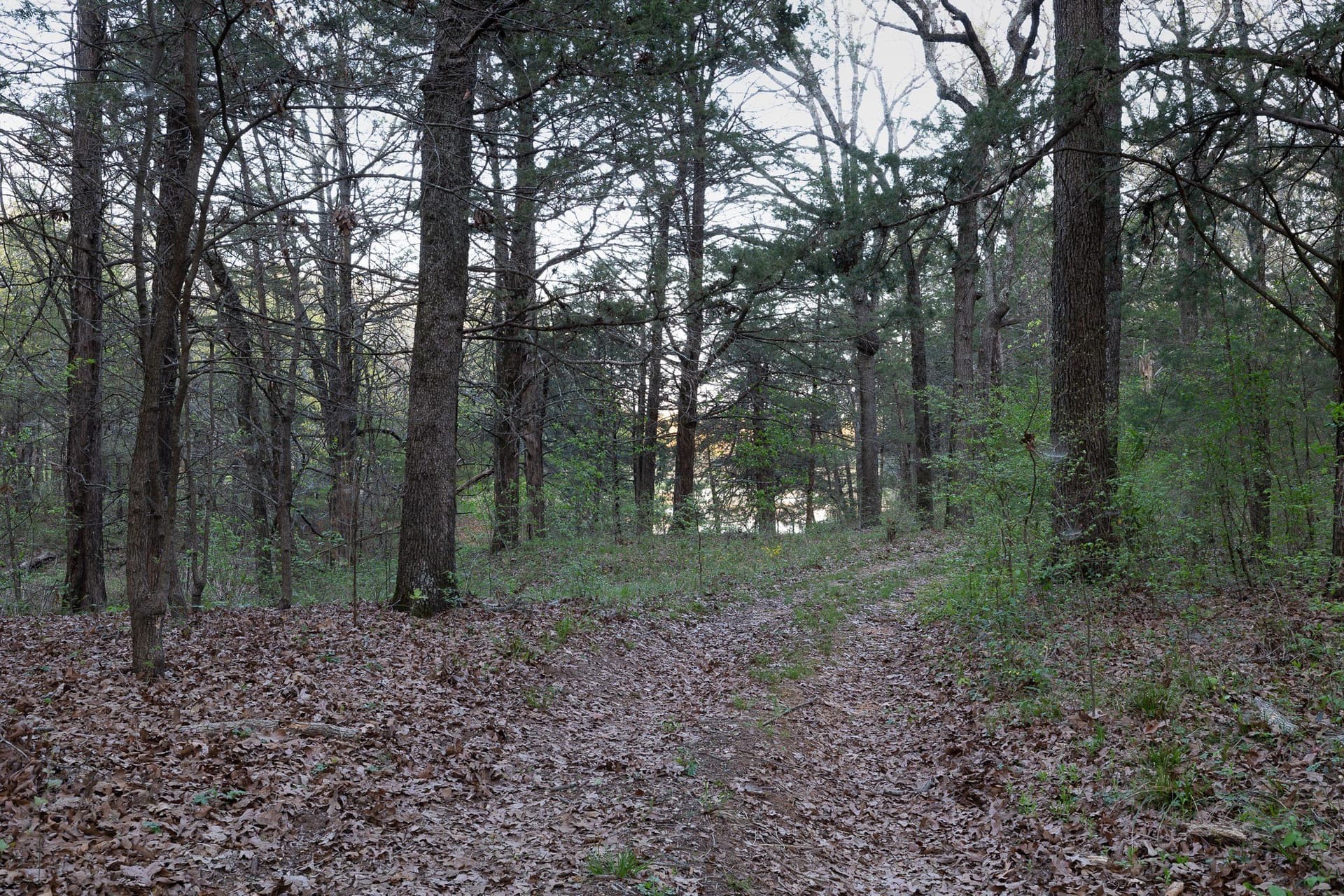 15.75 acres in Grayson County - photo 34