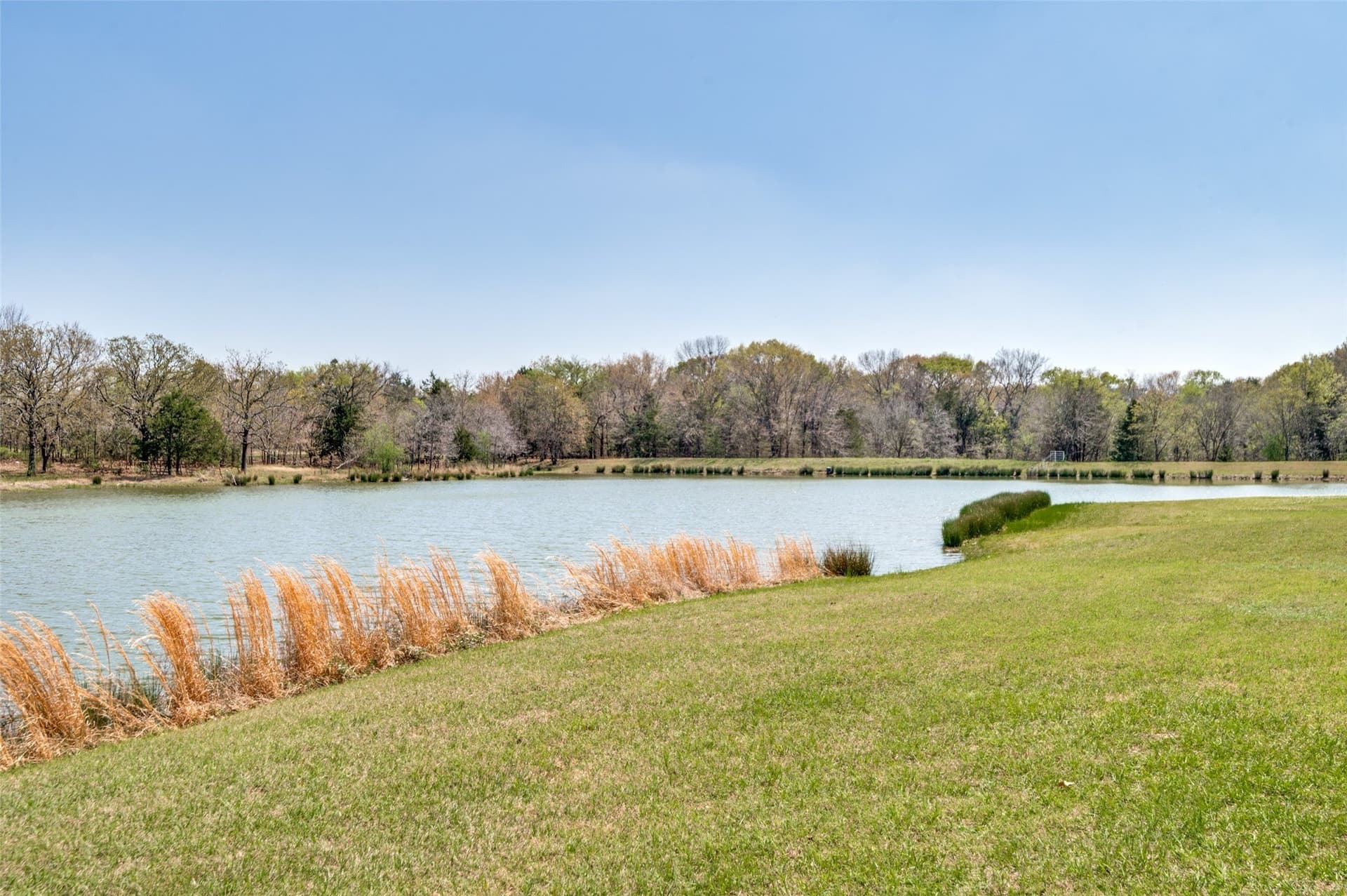 15.75 acres in Grayson County - photo 29