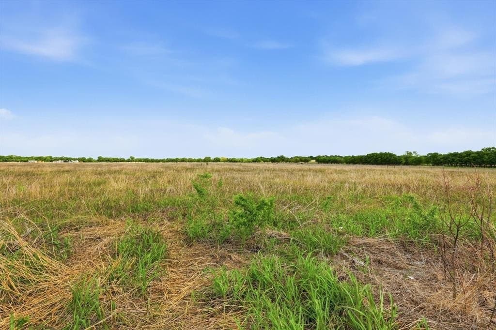 11.47 acres in Denton County gallery image 2