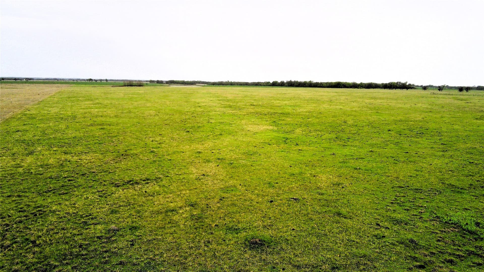 11 acres in Falls County - photo 7