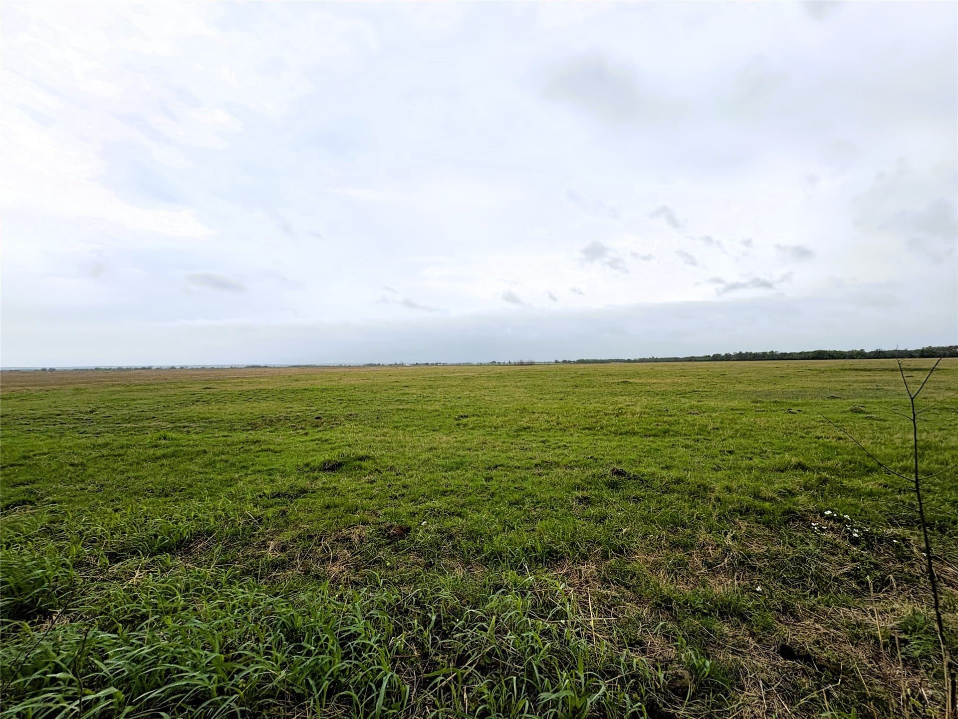 11 acres in Falls County - photo 4