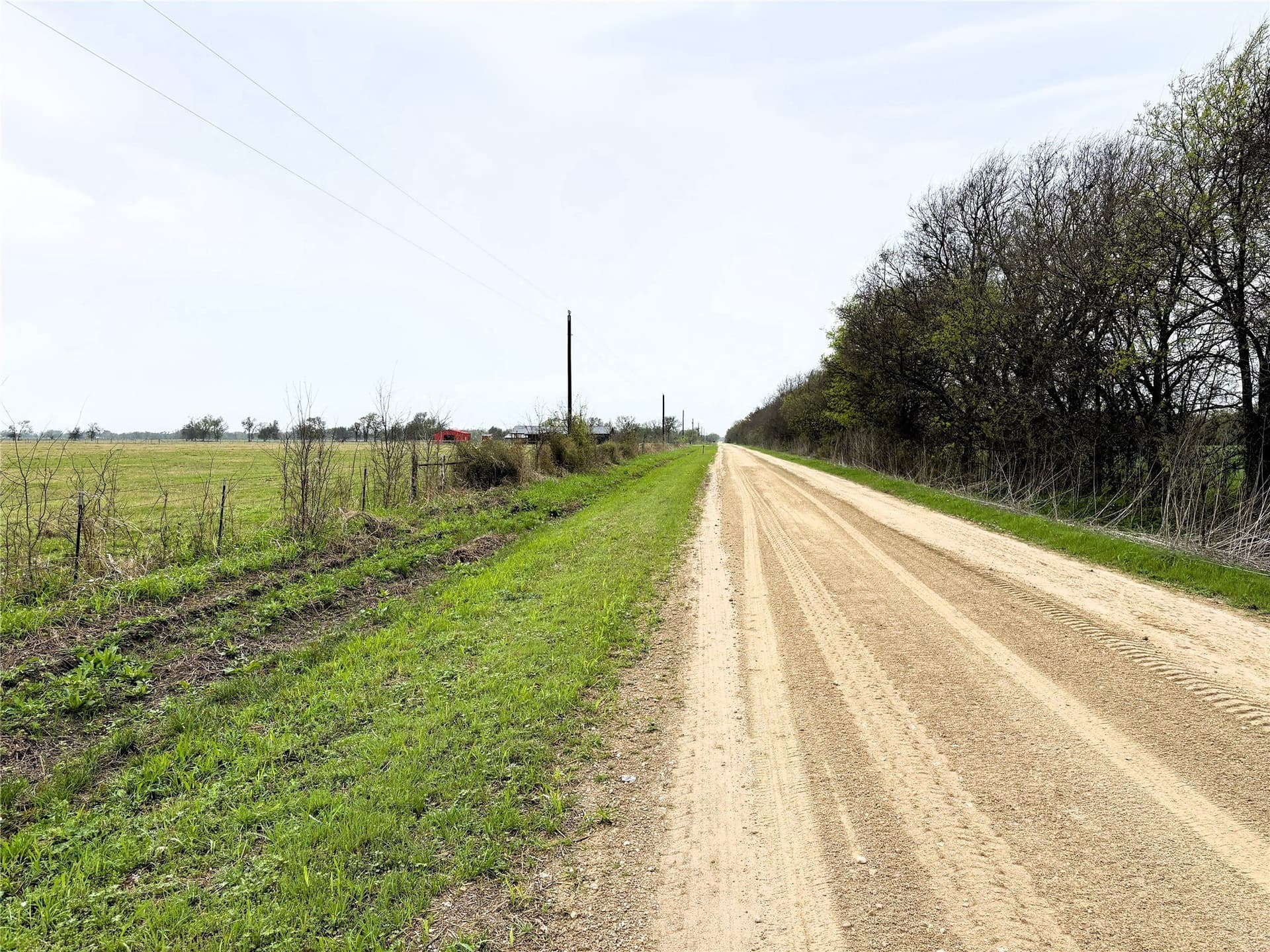 11 acres in Falls County - photo 6